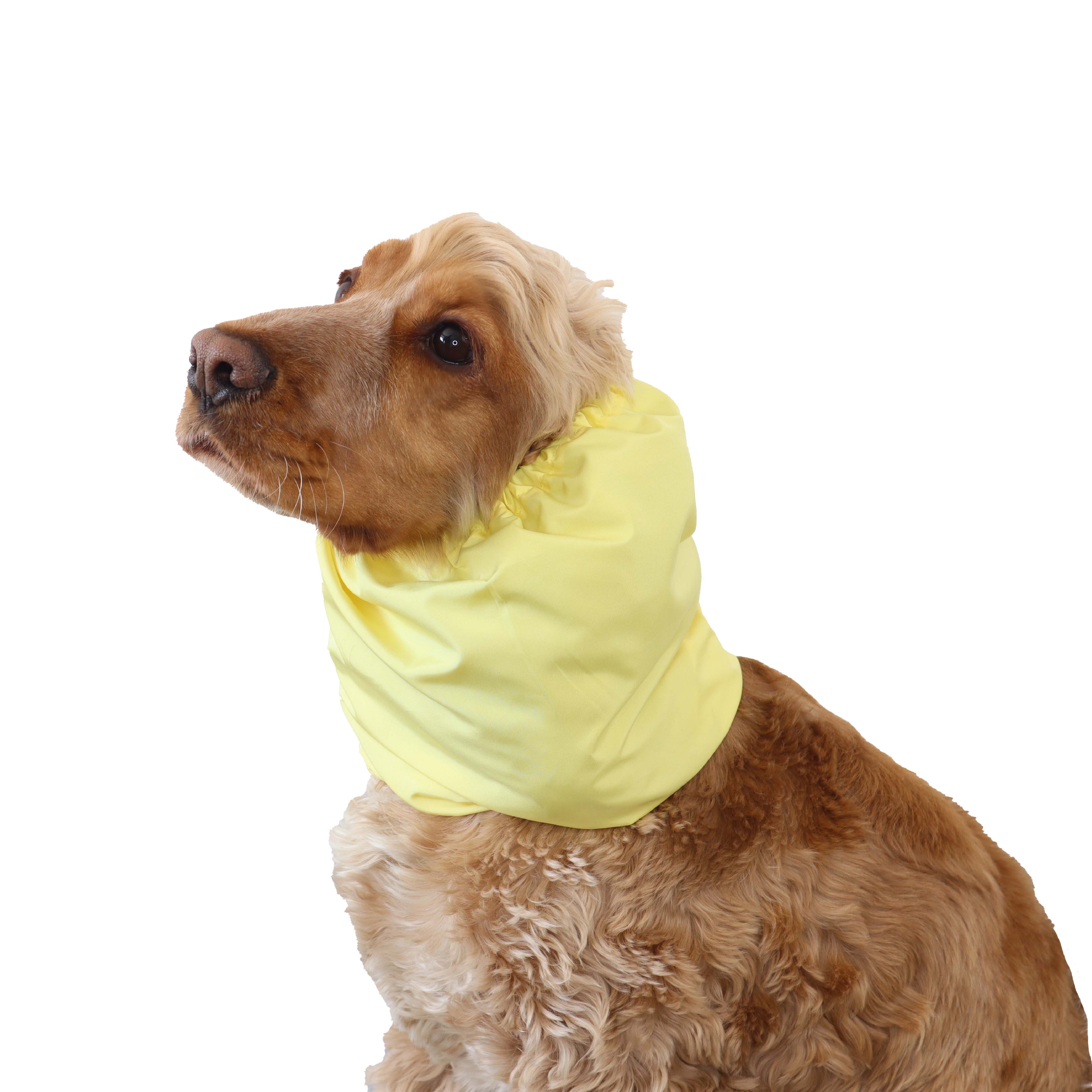 Long eared dog with snood by Distinguish Me