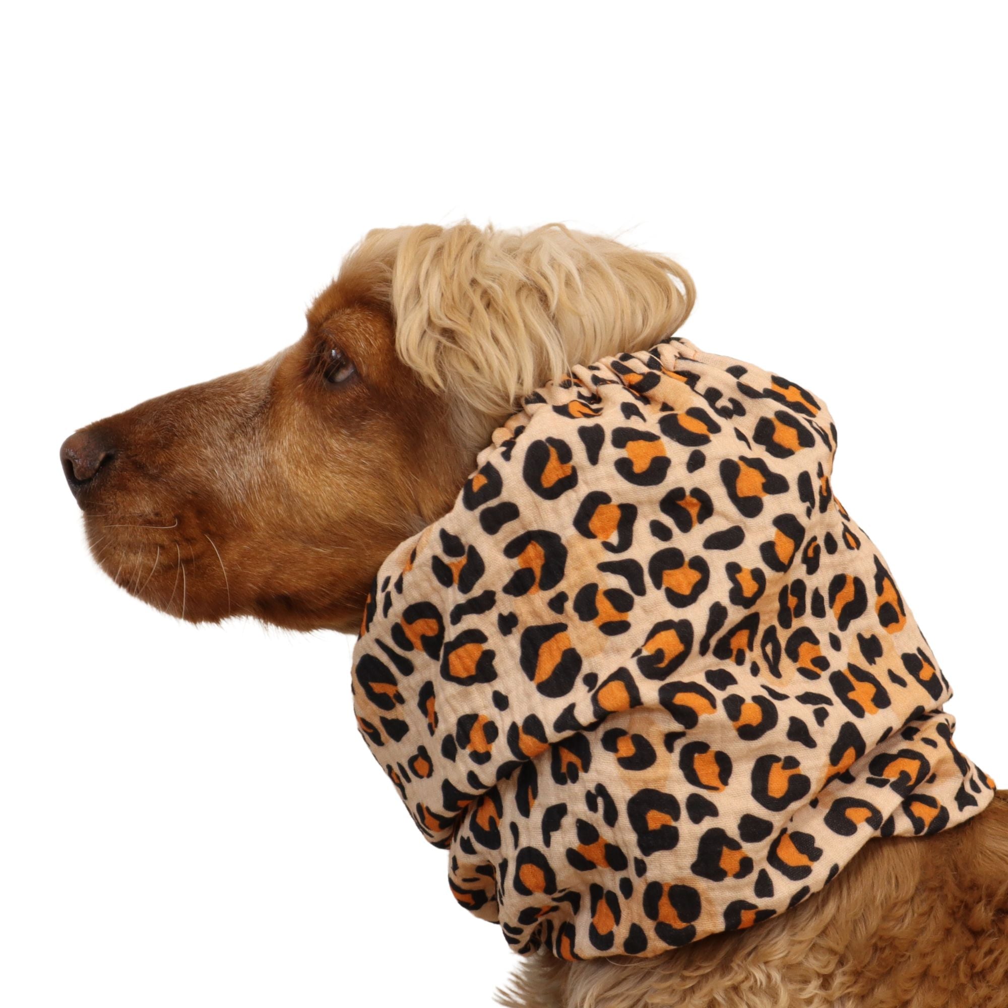 Cotton (Muslin) Dog Snood | Raaarrr