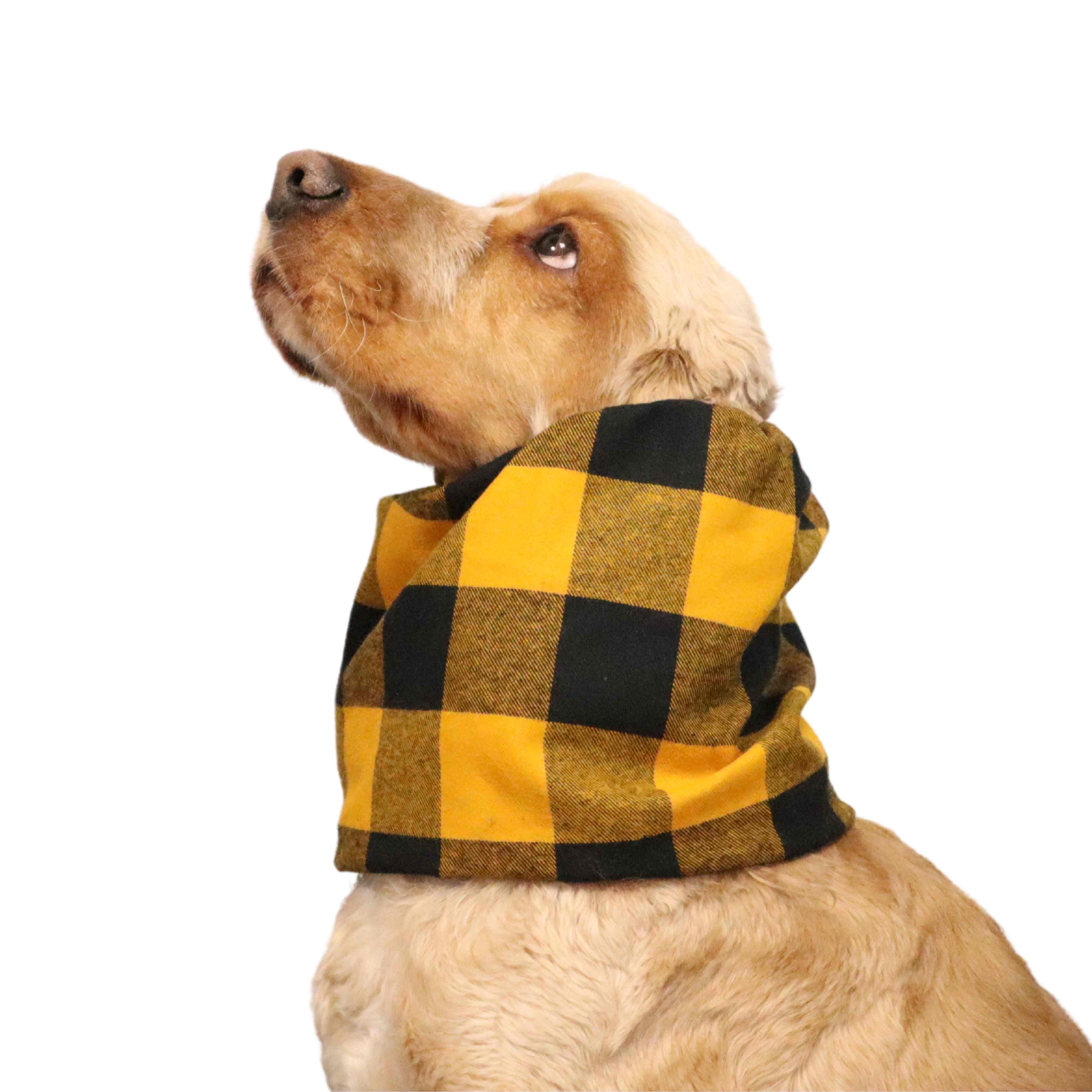 Spaniel with Flannel Dog Snood  Yellow Plaid Print by Distinguish Me