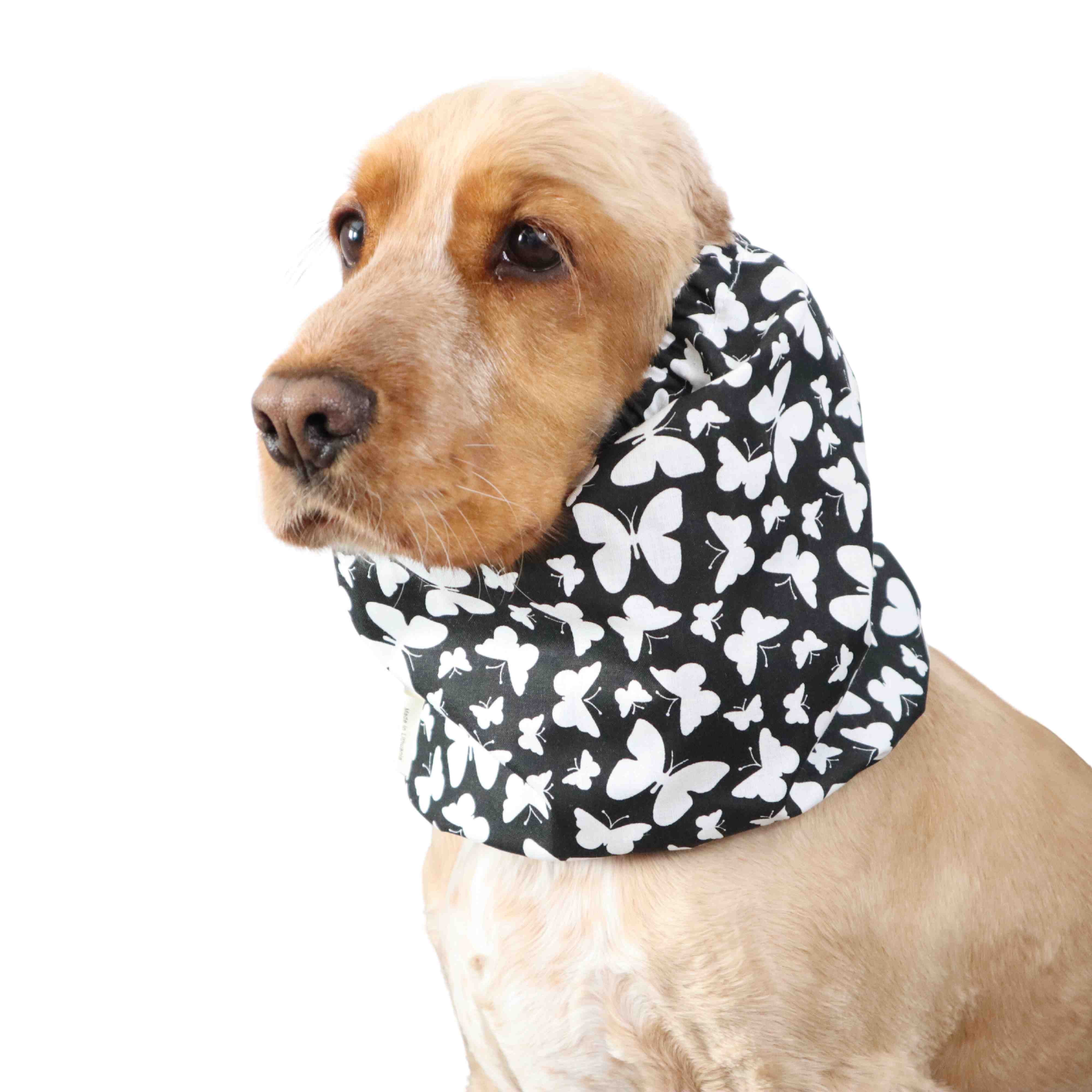 Dog With Snood with White Butterflies print by Distinguish Me 