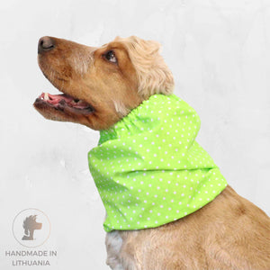 Handmade dog snood by Distinguish Me 