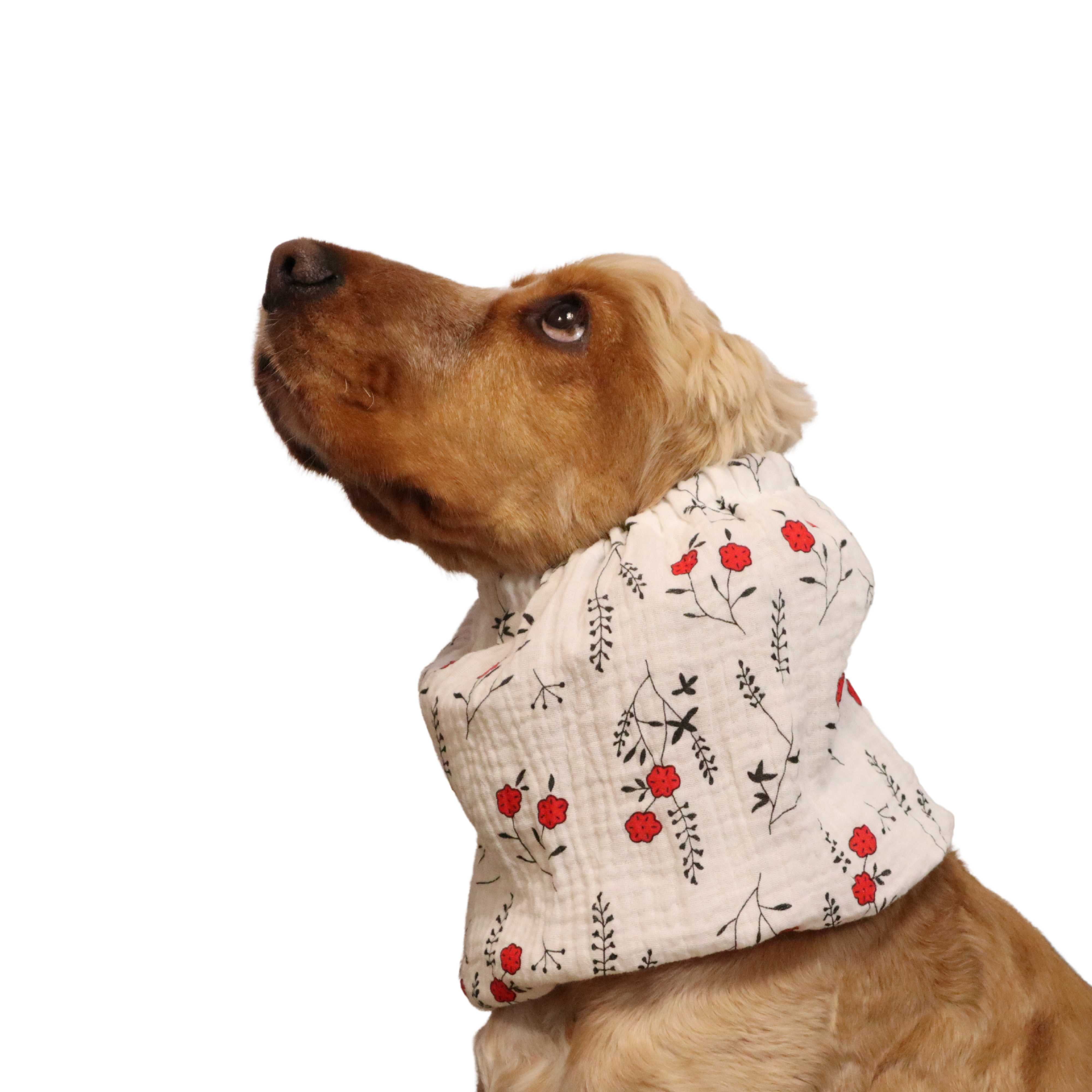 Cotton (Muslin) Dog Snood | Poppies