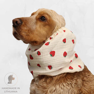 Handmade summer spaniel snood distinguish me