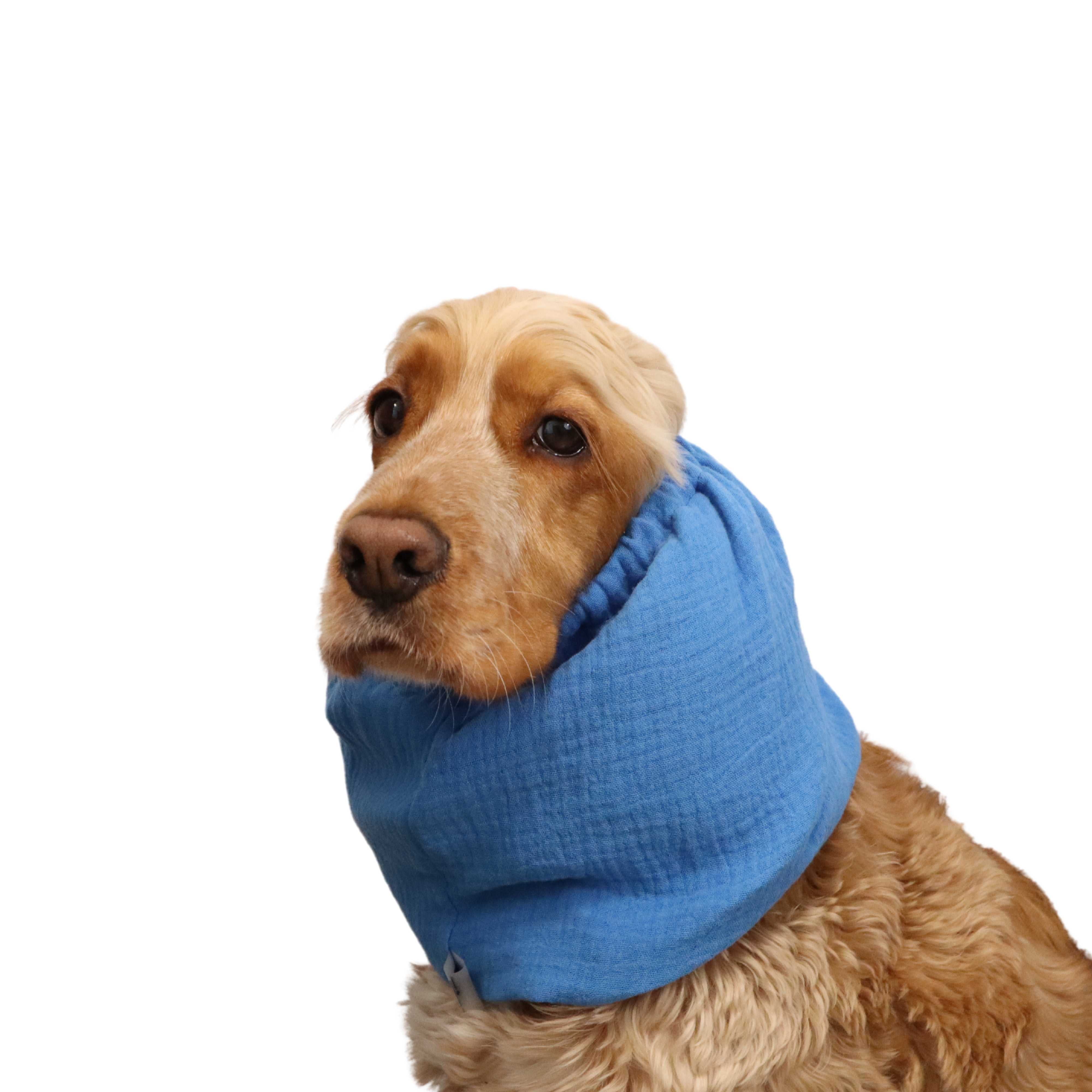 Cotton (Muslin) Dog Snood | Blue