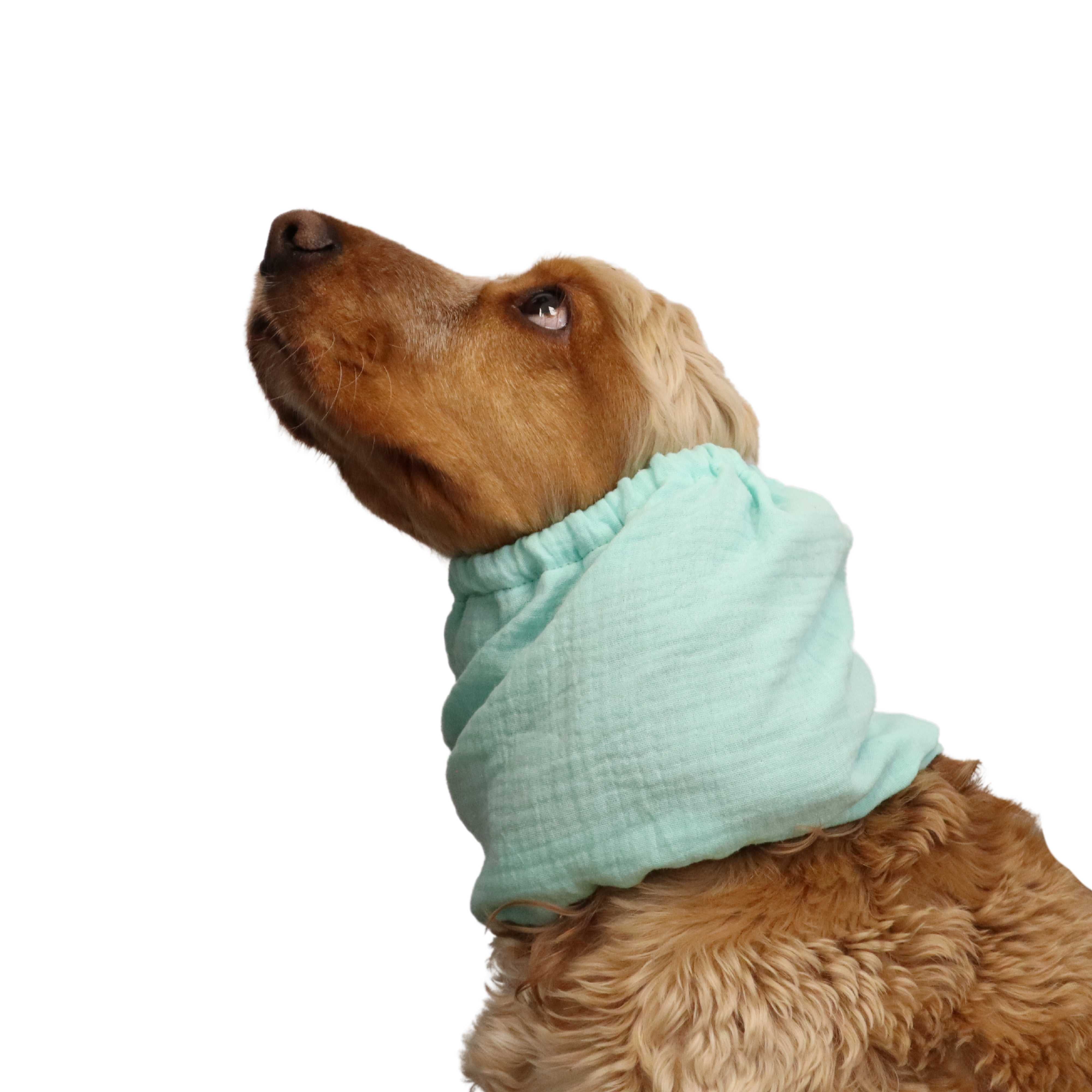 Cotton (Muslin) Dog Snood | Mint