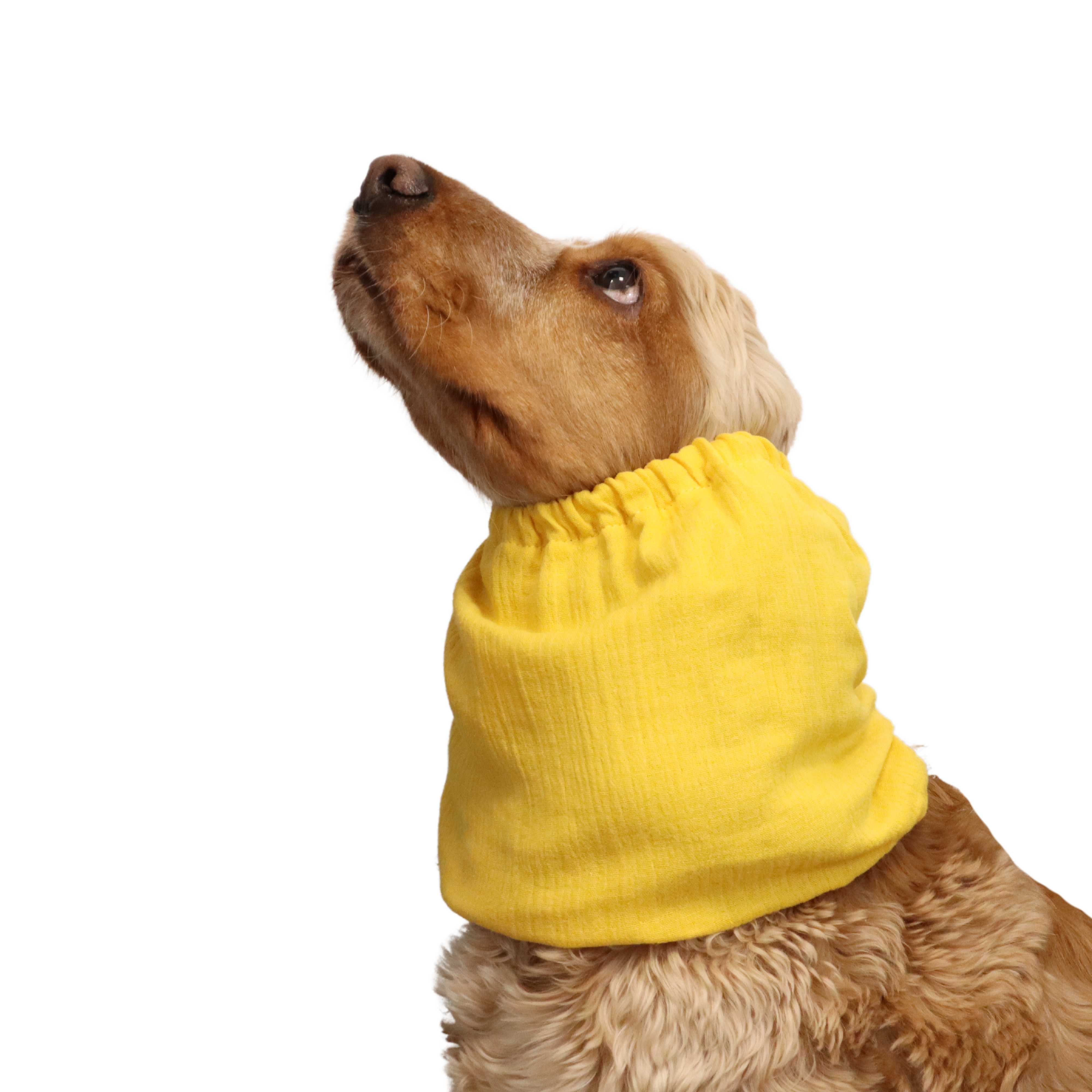 Cotton (Muslin) Dog Snood | Yellow