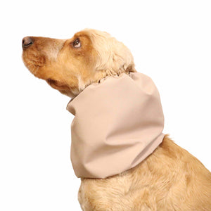 Dog With Cream Snood by Distinguish Me