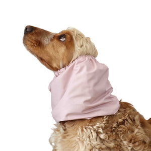 Dog with pink cotton summer snood by Distinguish me