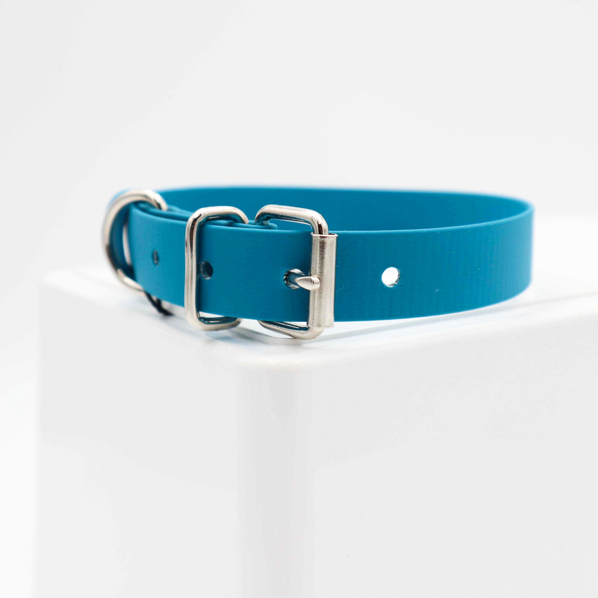 Laguna blue dog Collar Distinguish Me