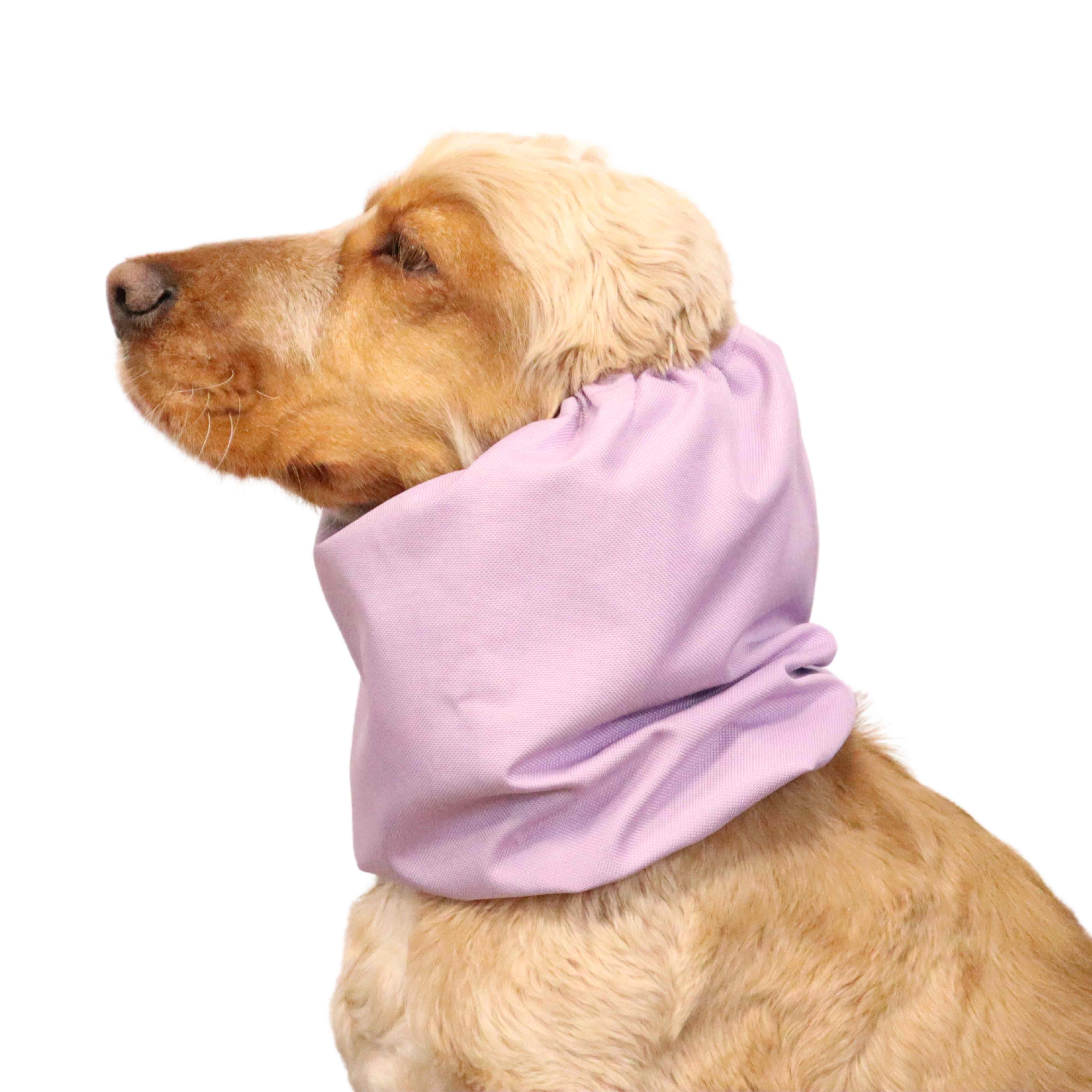 Spaniel with Waterproof Daily Dog Snood Lavender by Distinguish Me