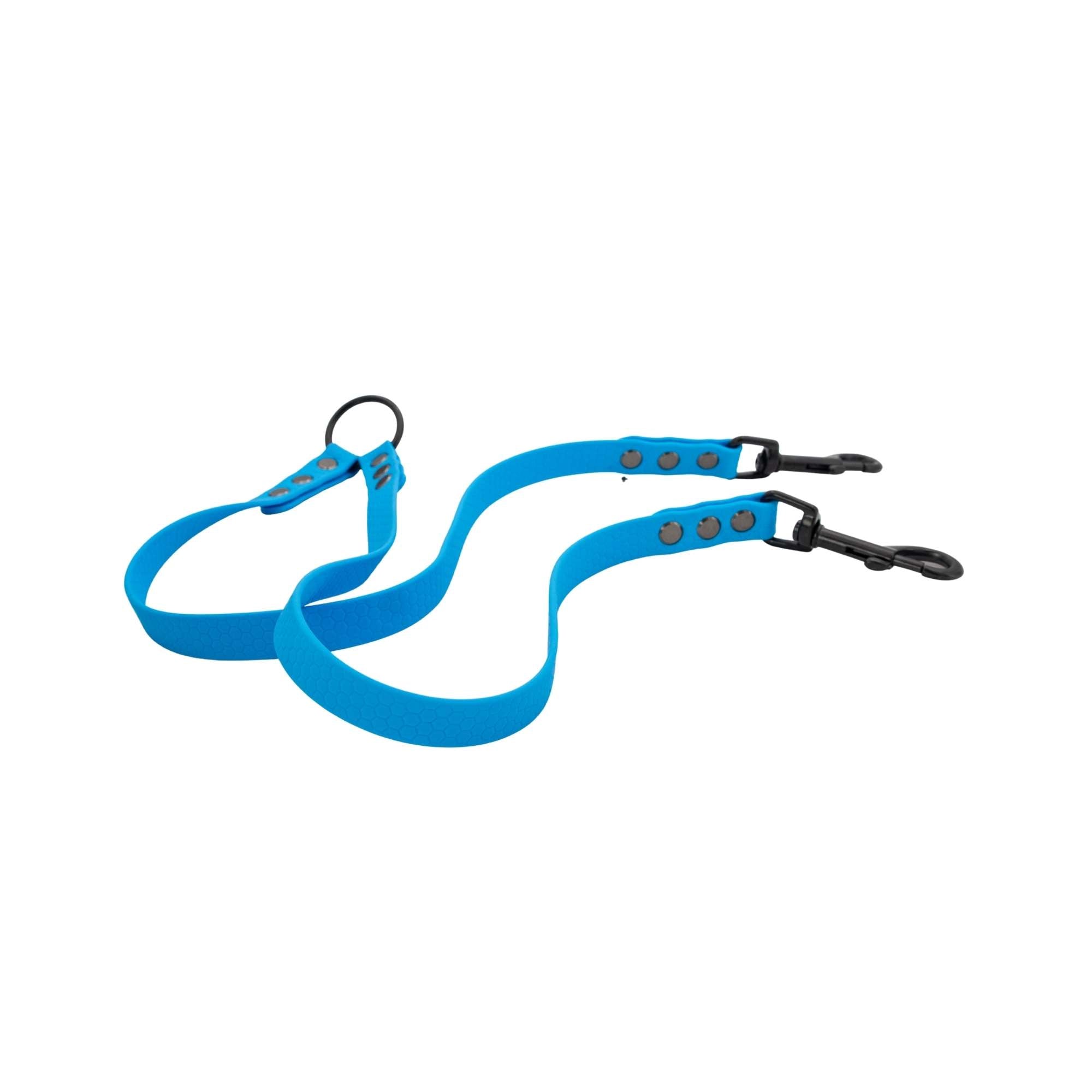 Blue dog leash with carabiner on a white background