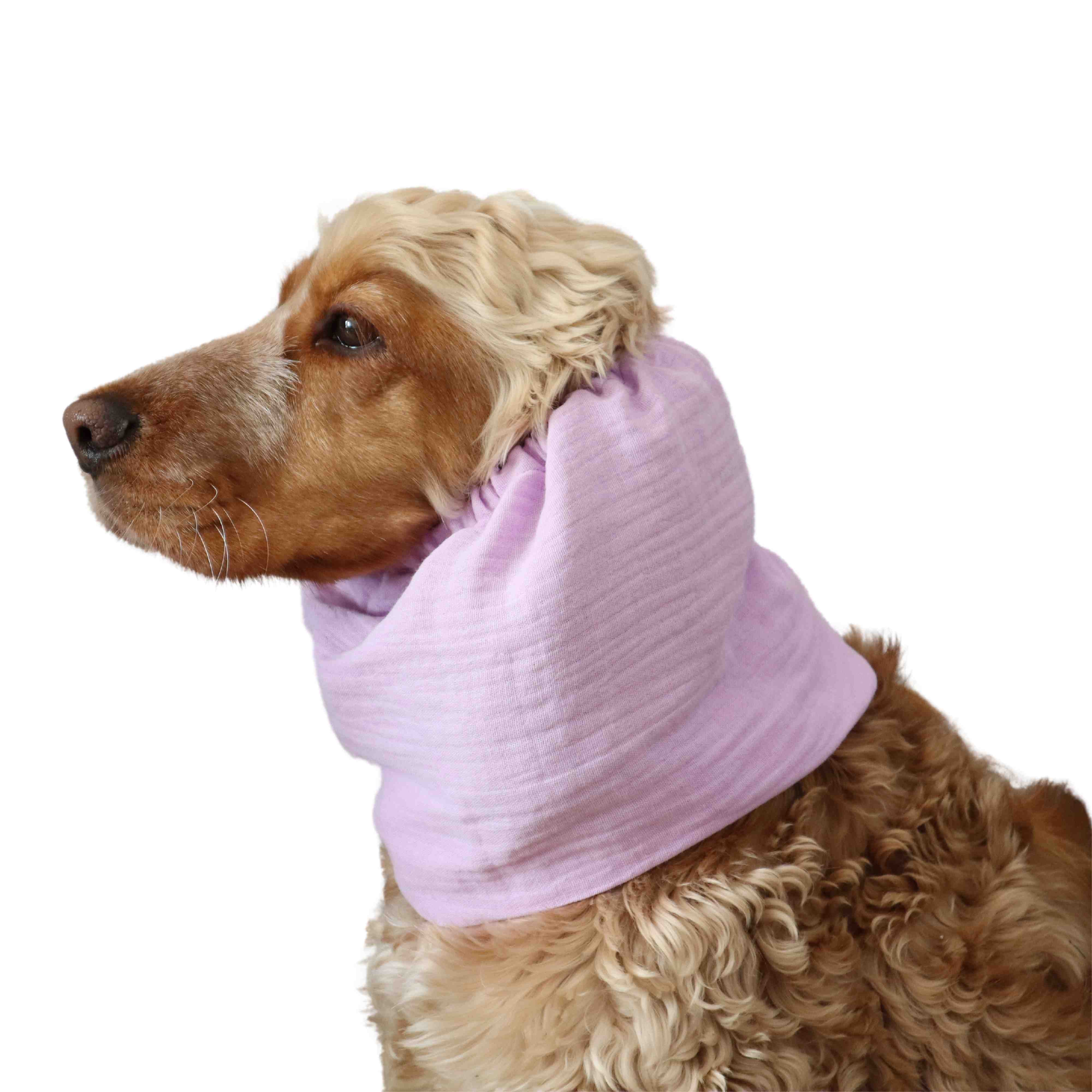 Dog snood by Distinguish me