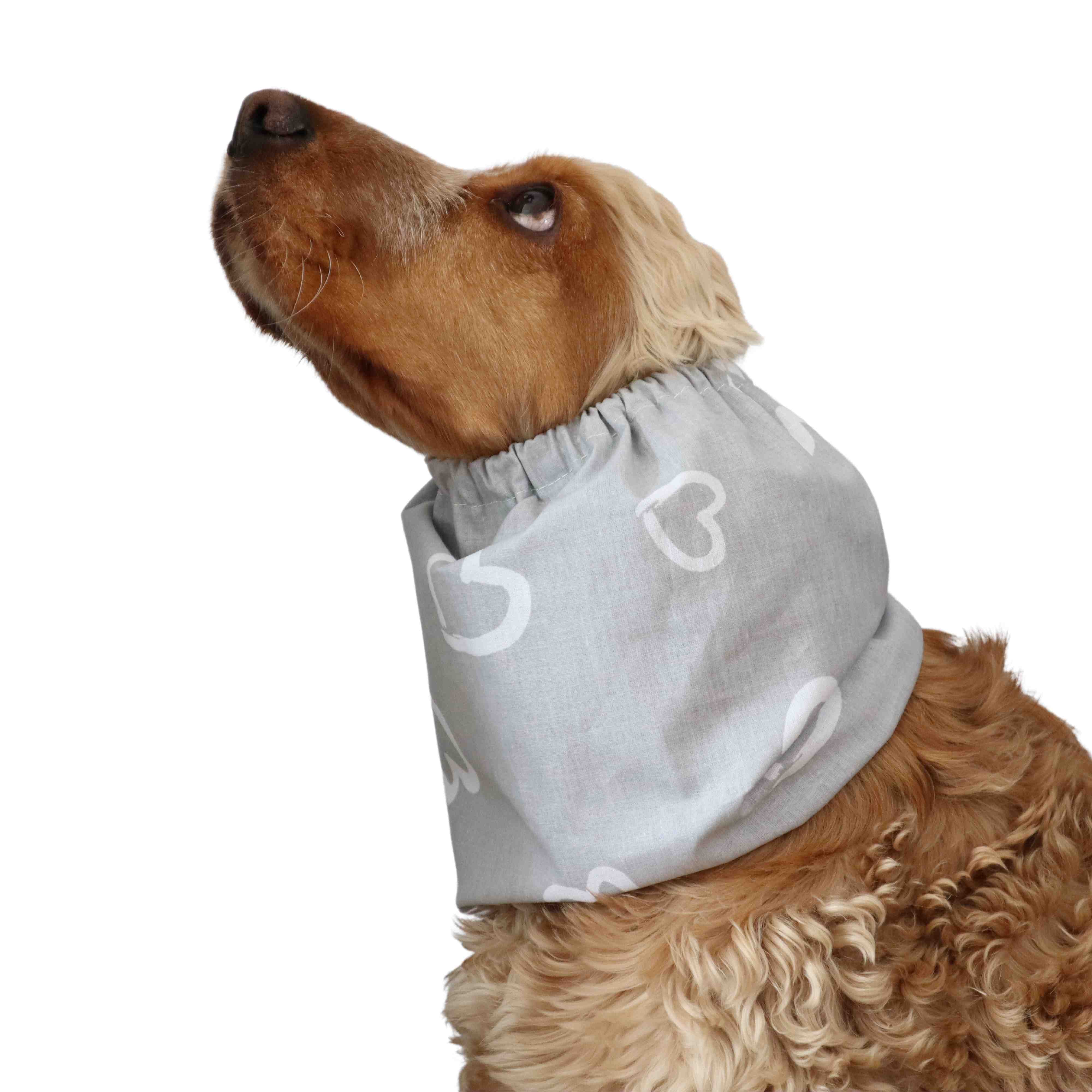 Light grey cotton dog snood for summer hearts Distinguish me