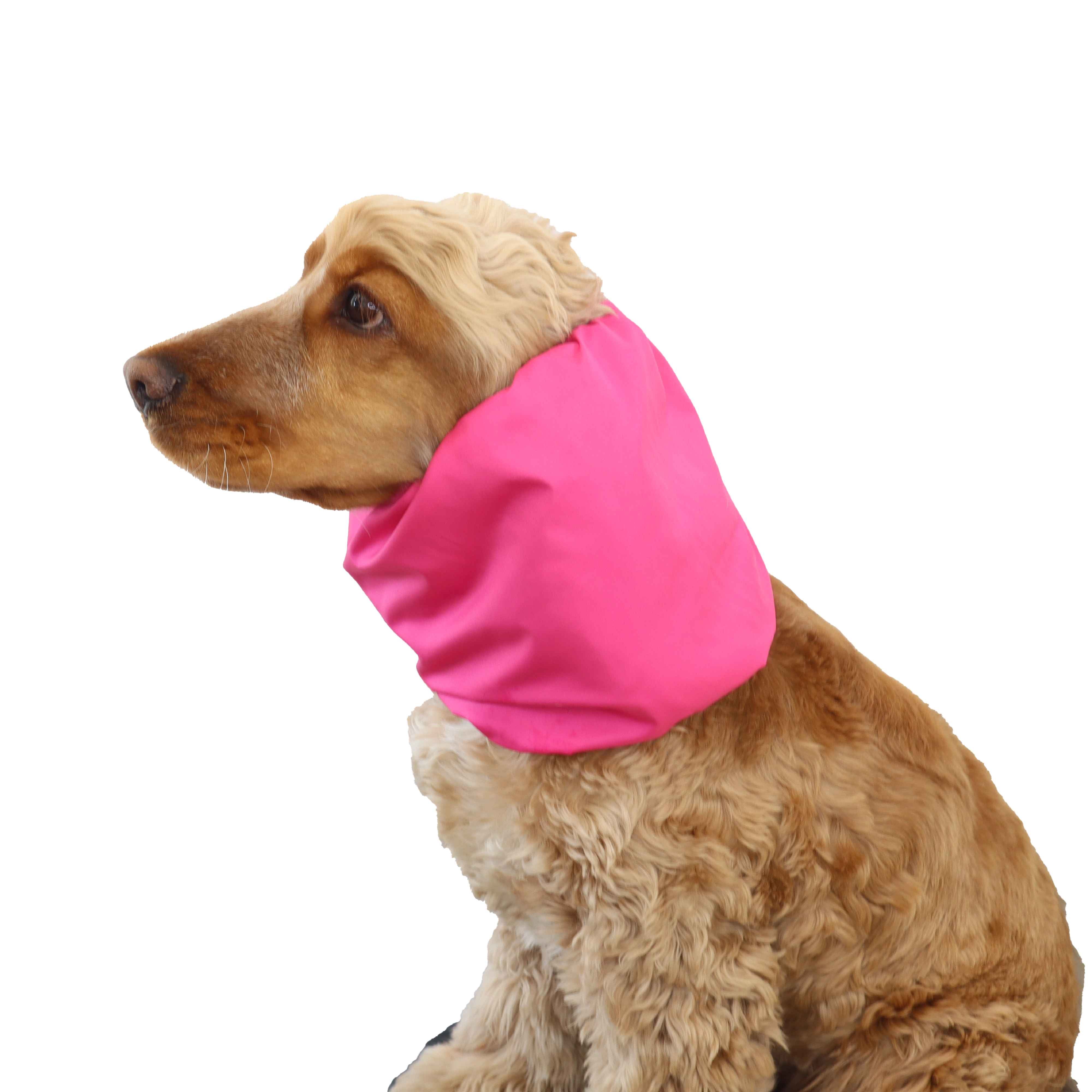 Cute dog with Barbie pink dog snood by Distinguish Me