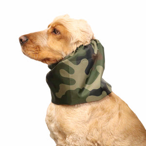 Cute dog with dog snood Camo by Distinguish Me