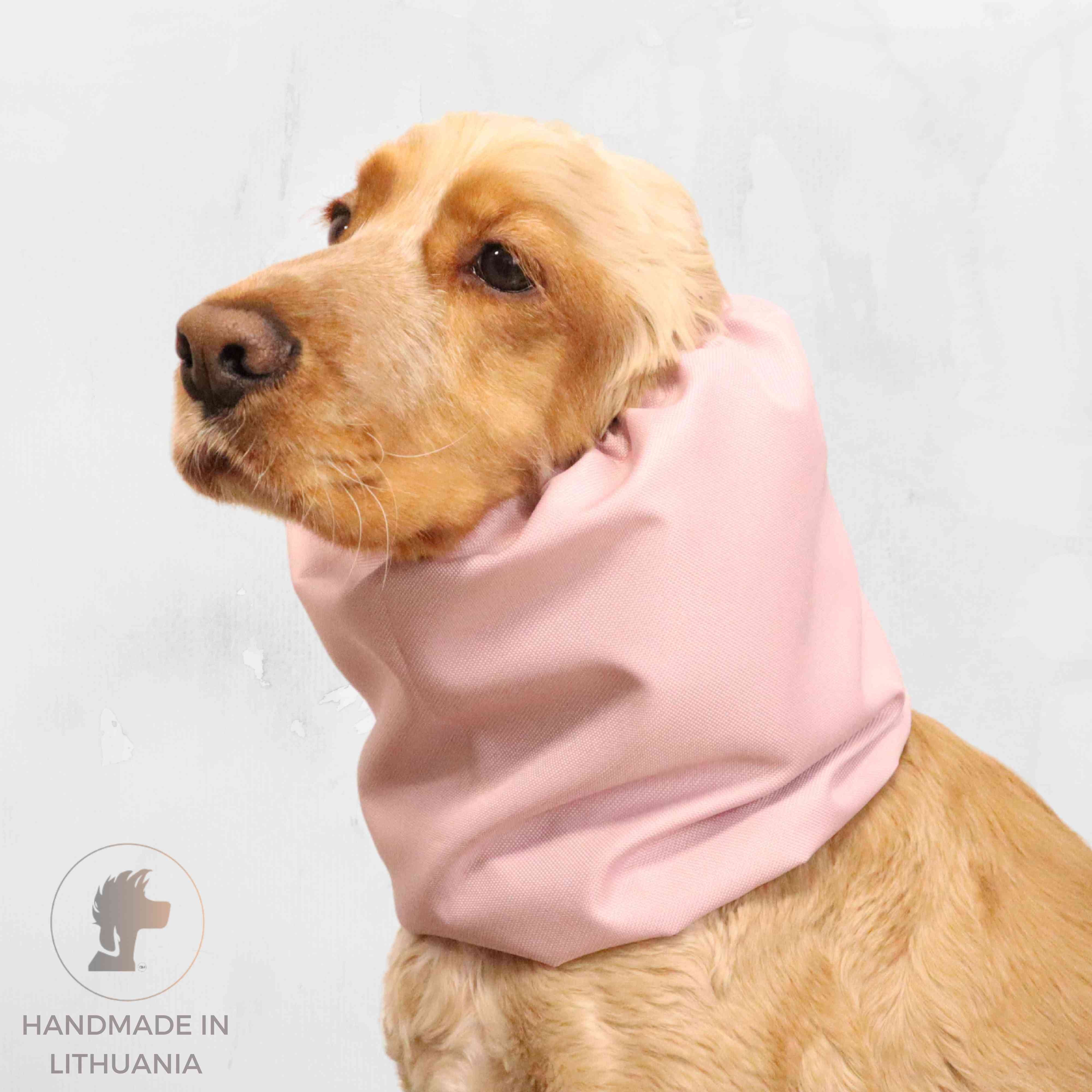 Lightweight waterproof cream rose dog snood by Distinguish me