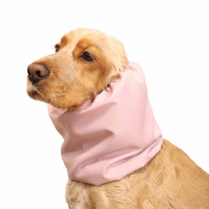 Dog Daily snood Pink Distinguish Me