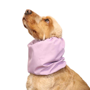 Spaniel with Waterproof Daily Dog Snood Lavender by Distinguish Me