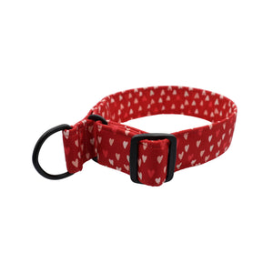 Cute dog collar for Valentine day