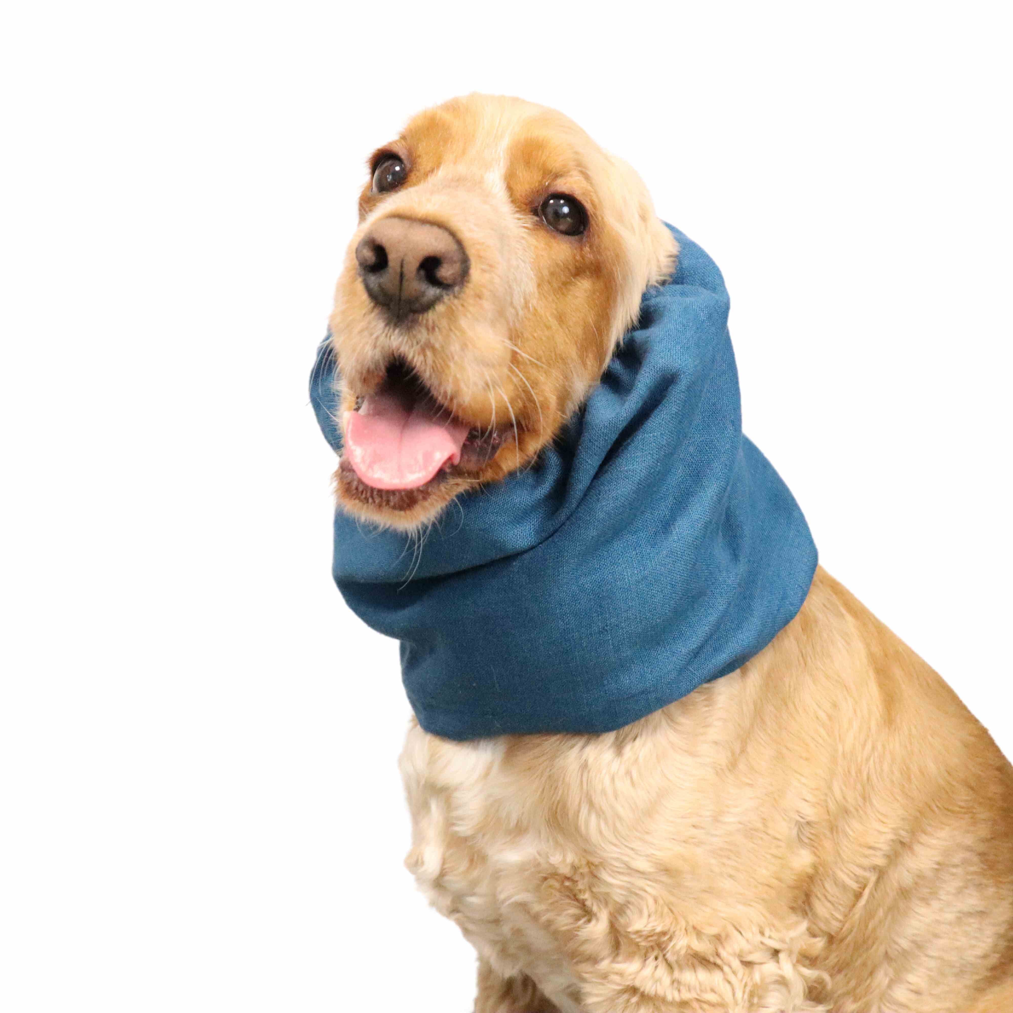 linen blue dog snood distinguish me