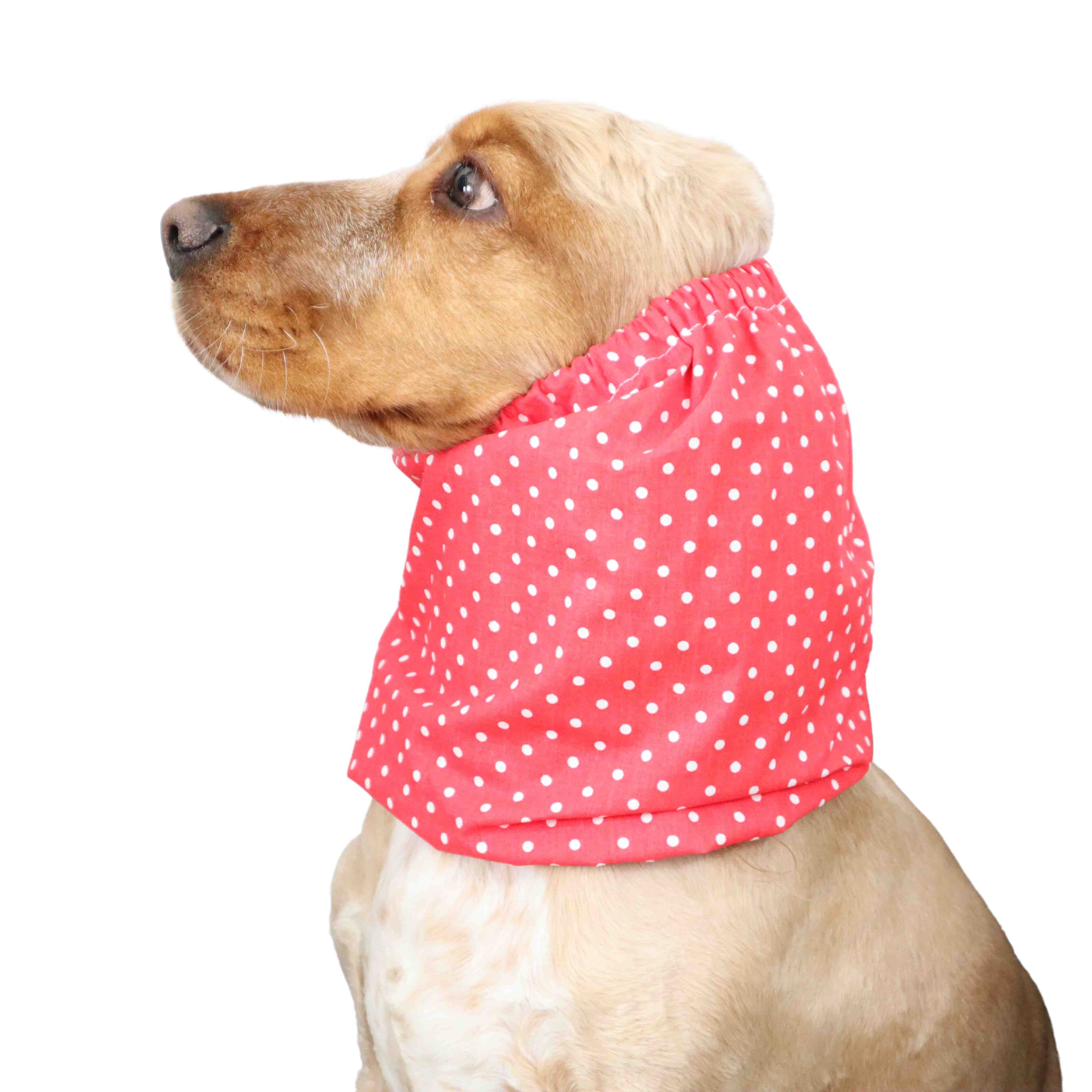 Cotton Dog Snood | Dots in Red