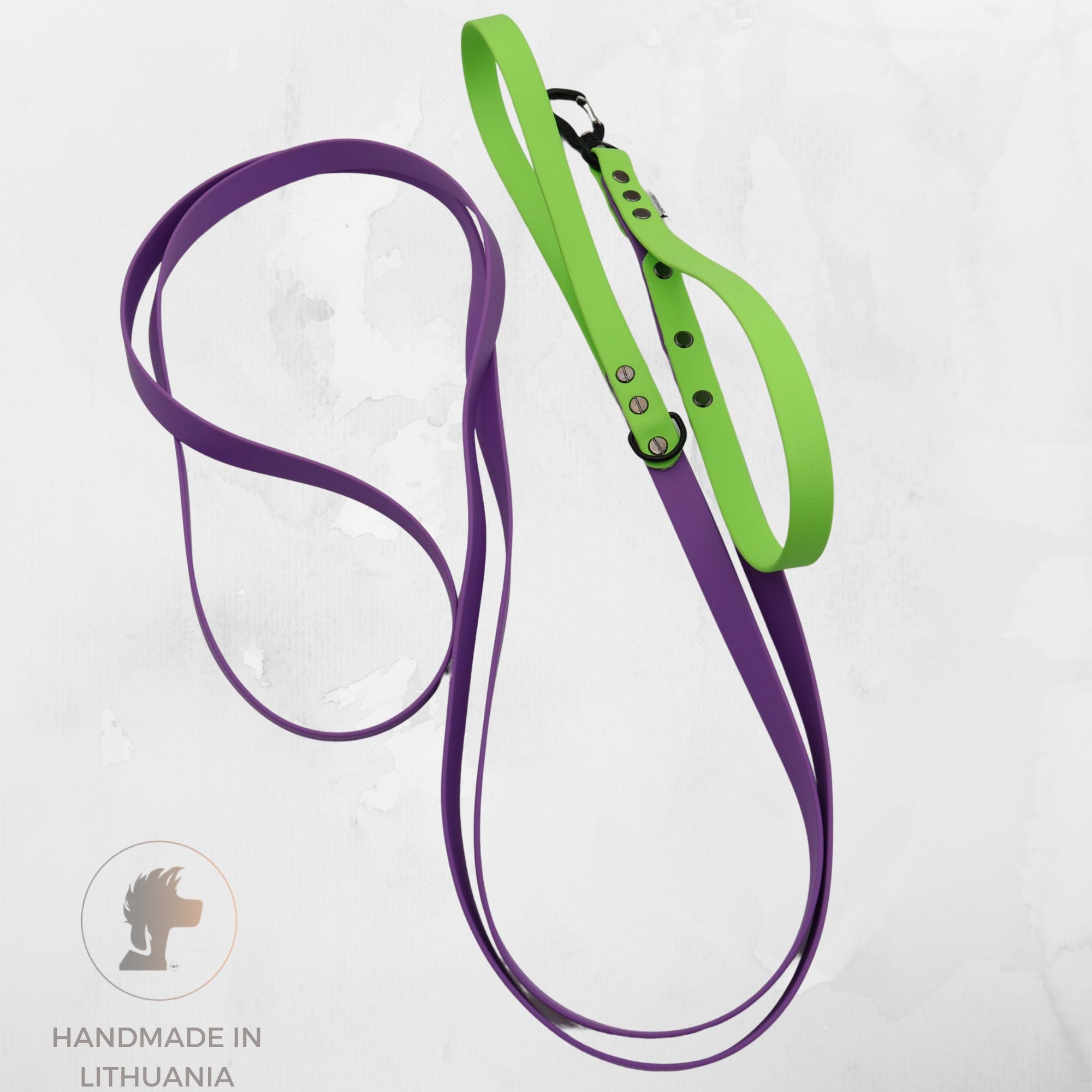 Biothane Dog Collar + Leash set | Apple green - Amethyst Orchid | Width: 25/19 mm | Length: 50-58 cm / 3 m