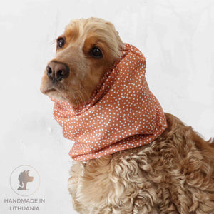 Distinguish me dog snood