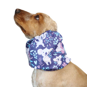 Dog Snood from Distinguish Me