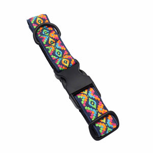 adjustable dog collar by distinguish me