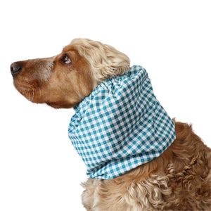 Dog with cotton snood Distinguish Me