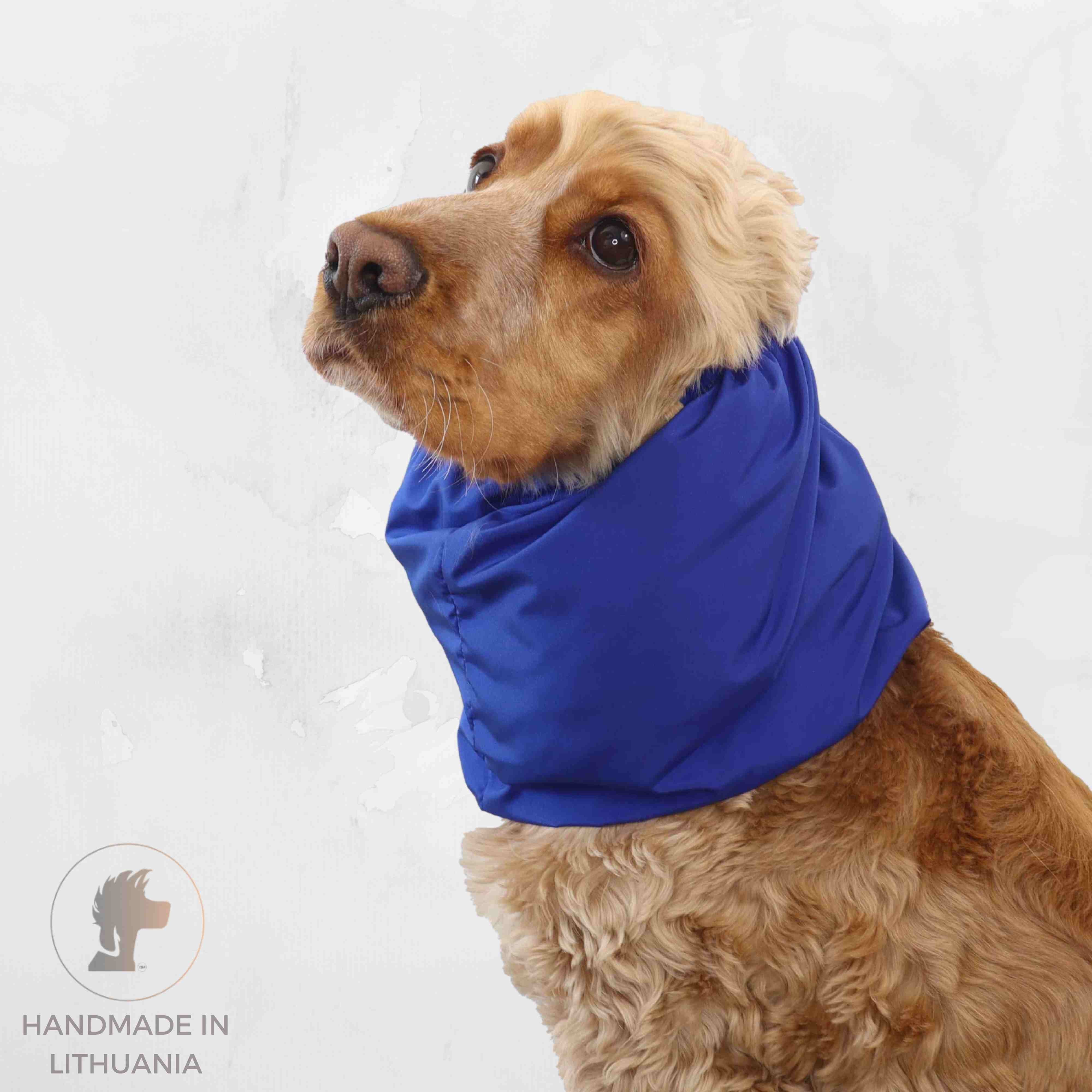 Blue feeding dog snood by Distinguish Me