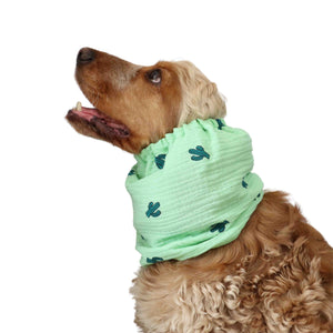 Snood for dog by Distinguish Me