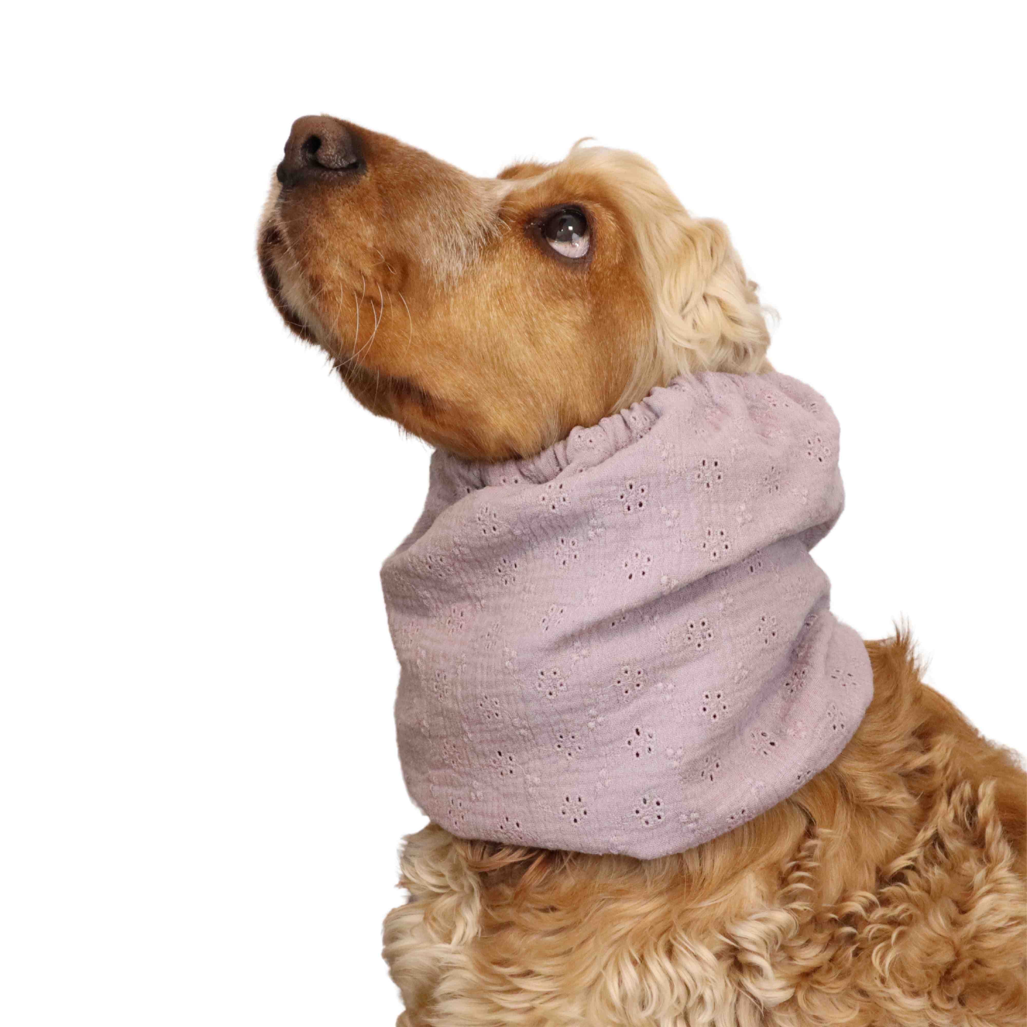 Spaniel with lavender dog snood by Distinguish Me