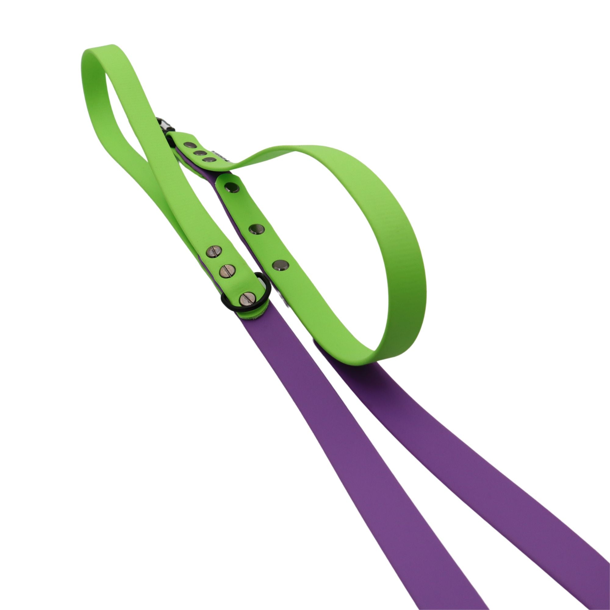 Biothane Dog Collar + Leash set | Apple green - Amethyst Orchid | Width: 25/19 mm | Length: 50-58 cm / 3 m