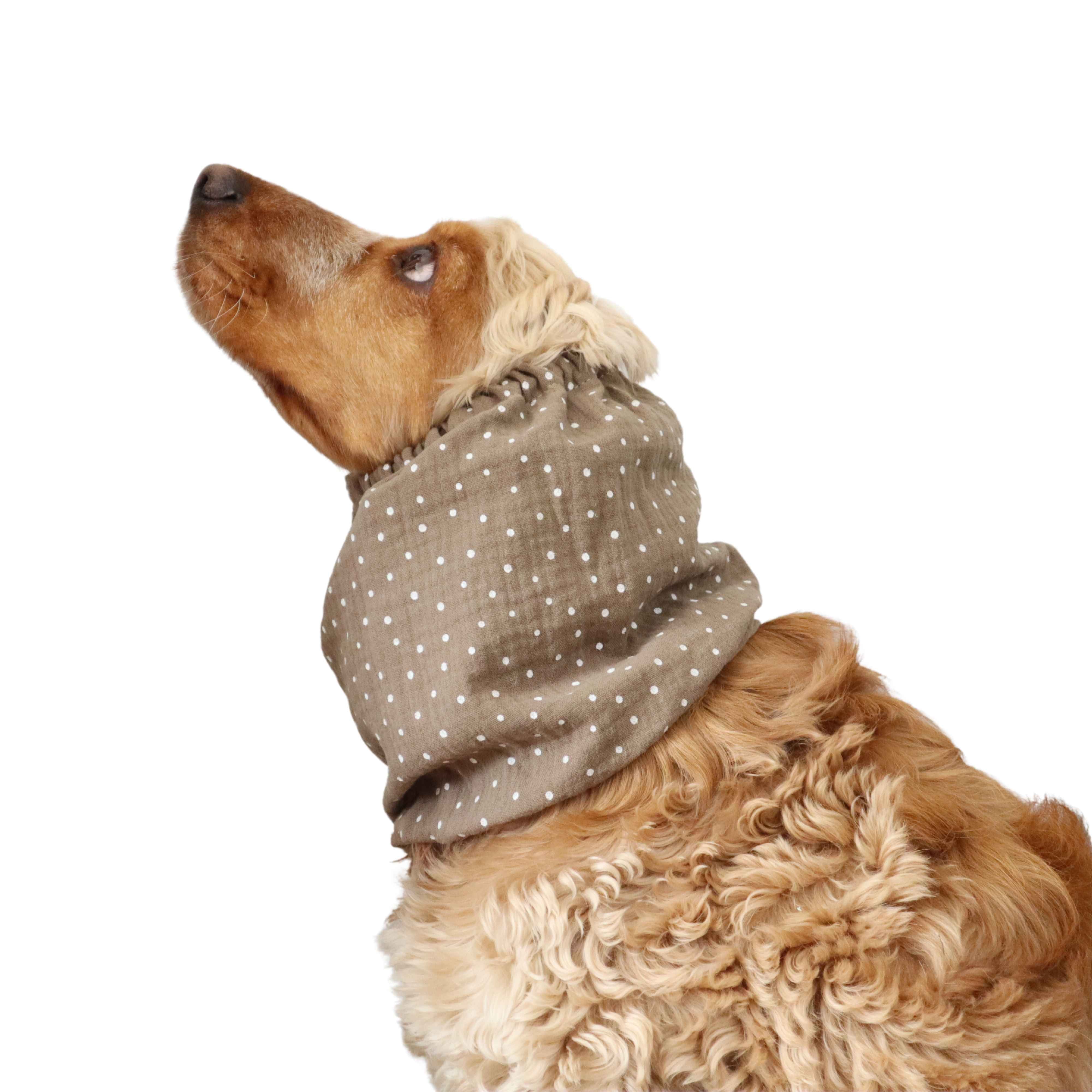 Dog with stylish snood by Distinguish me