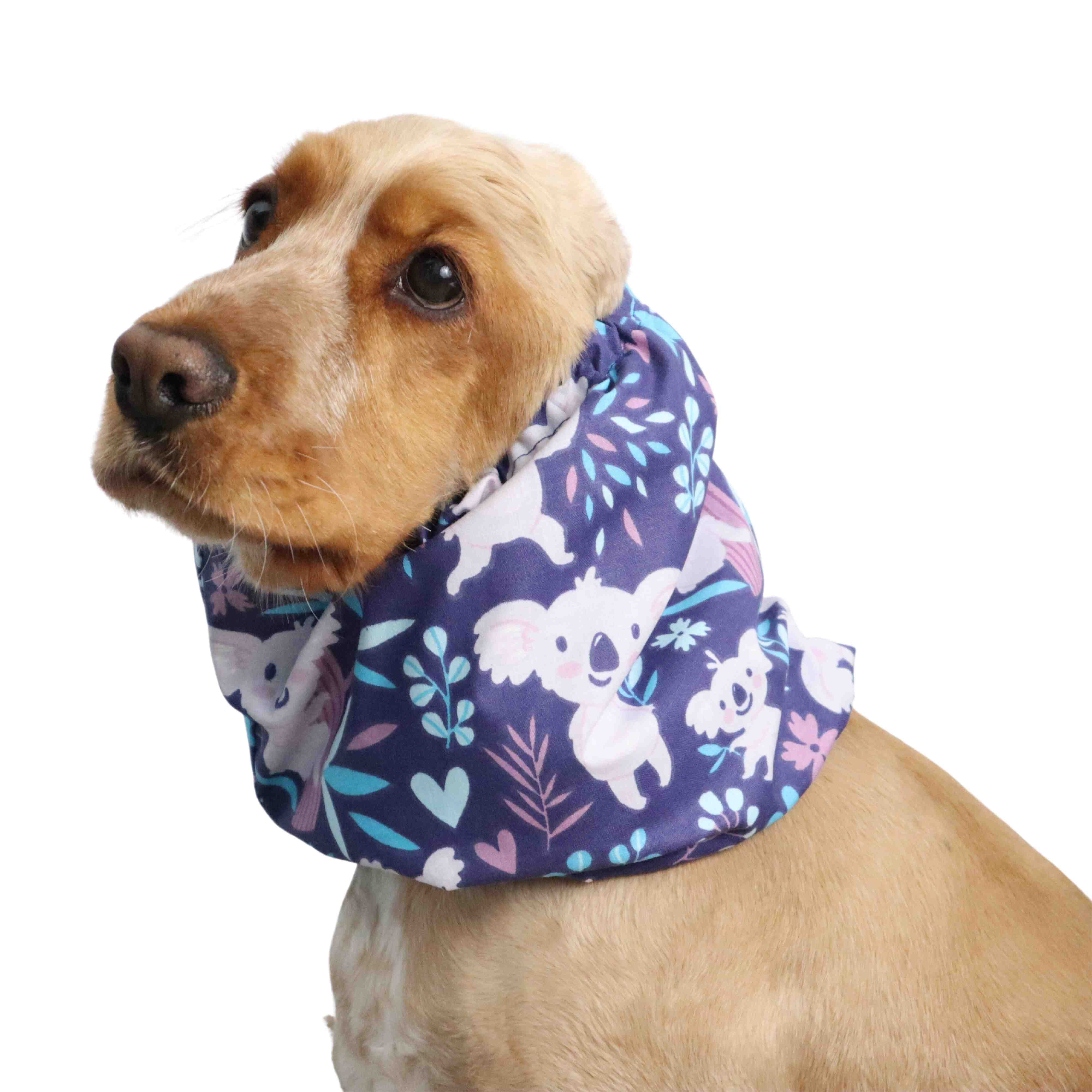 Summer dog snood from Distinguish Me