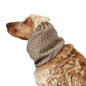 Dog with snood by Distinguish me