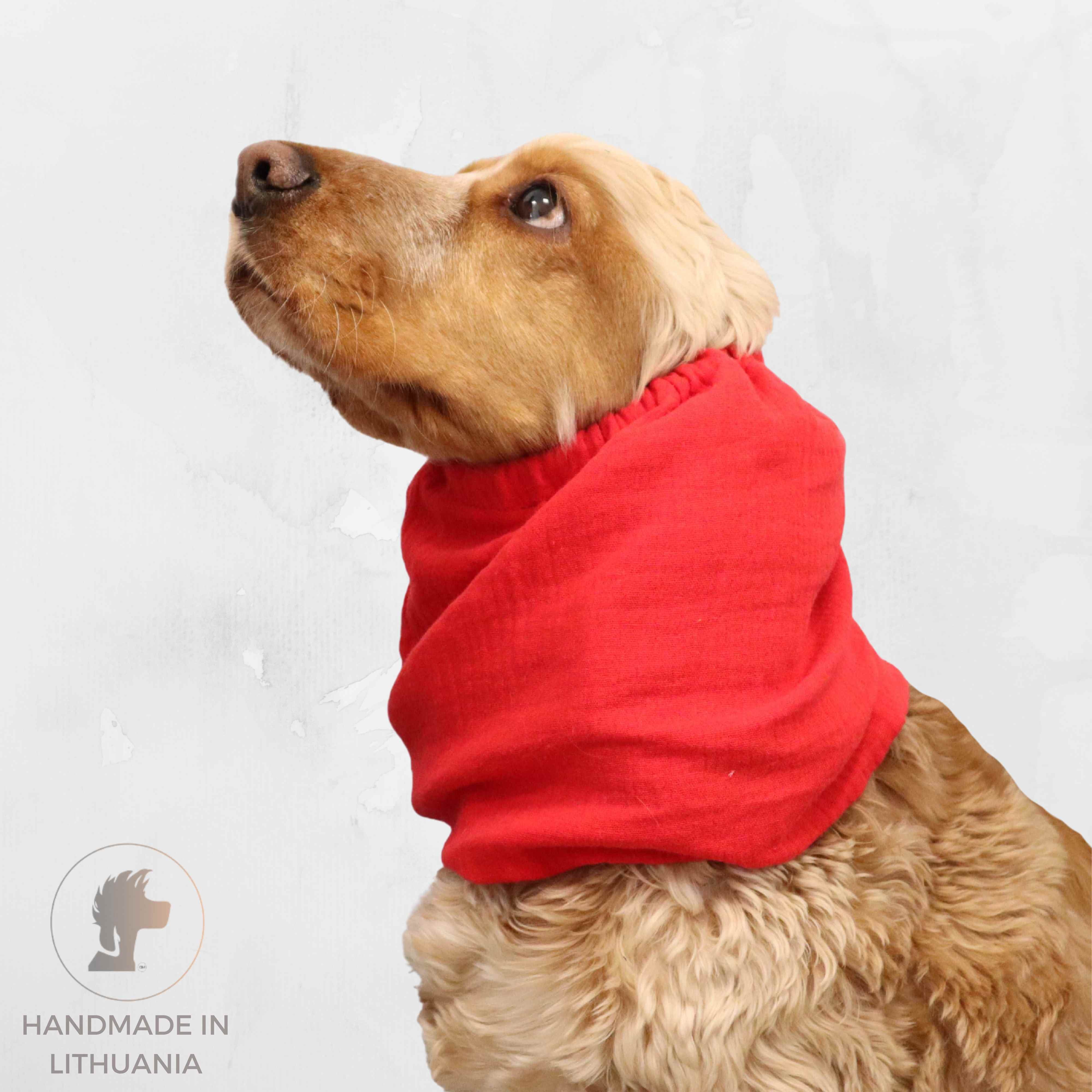 Handmade red summer dog snood distinguish me