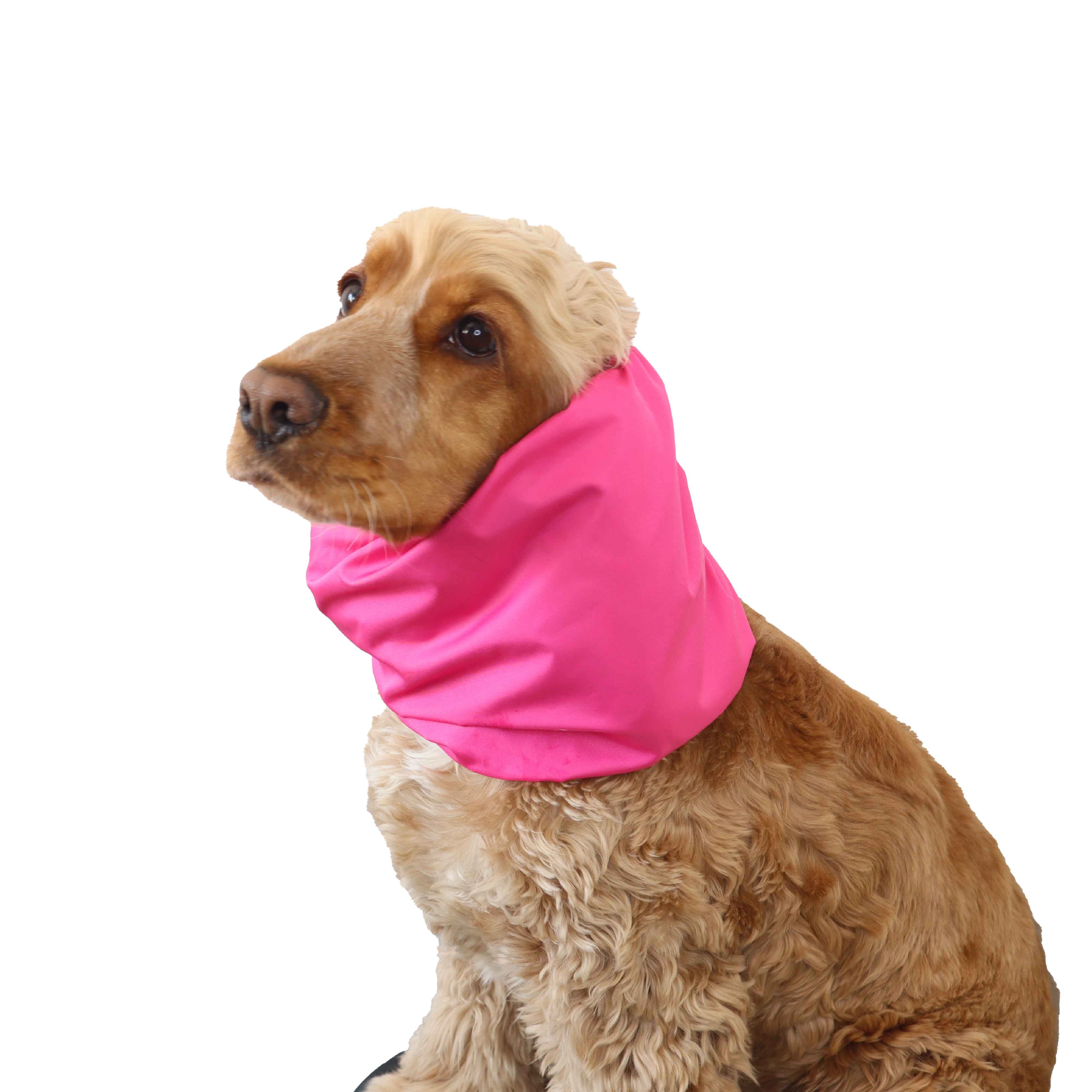 Dog With Snood by Distinguish Me