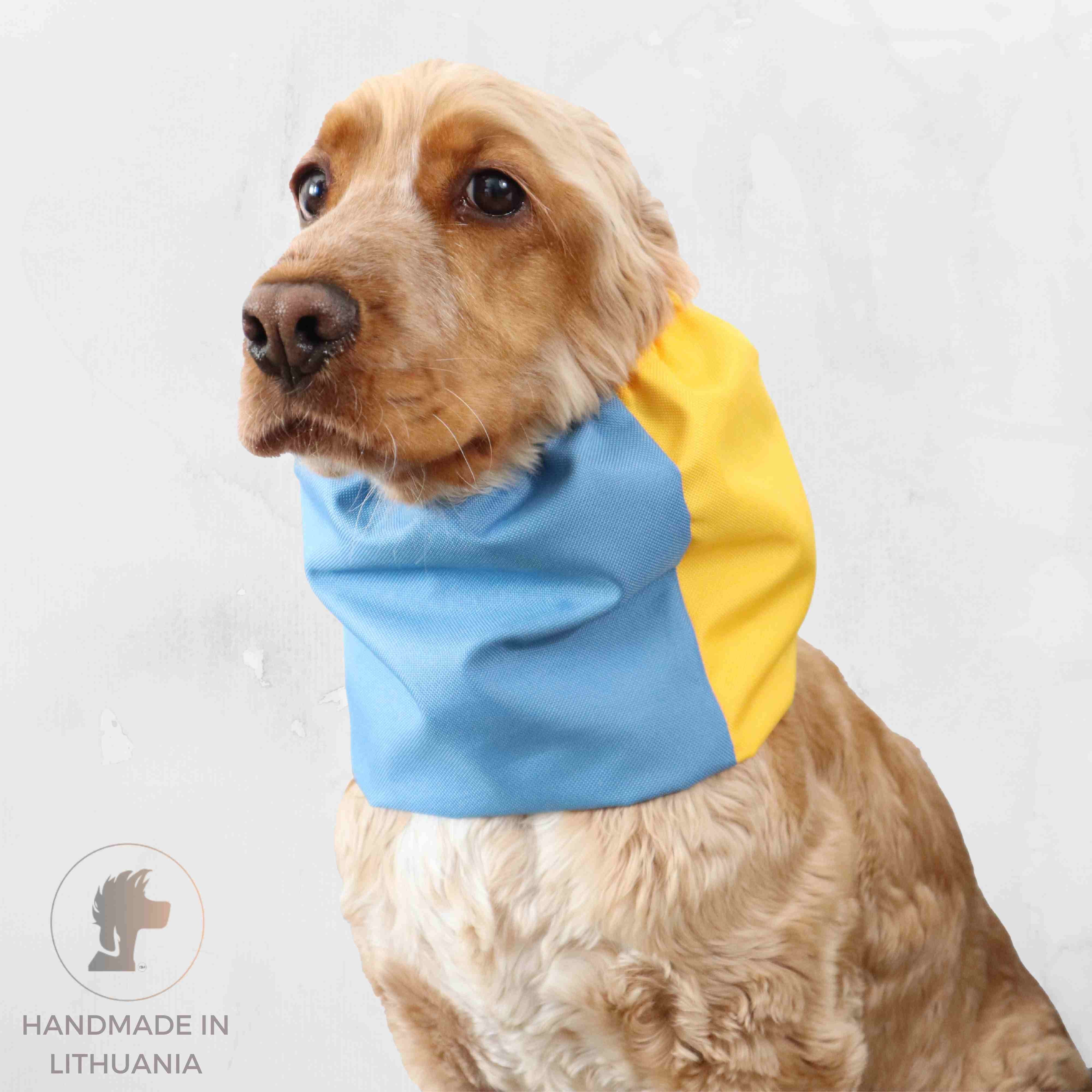 Snood for Dog Blue Yellow Distinguish Me