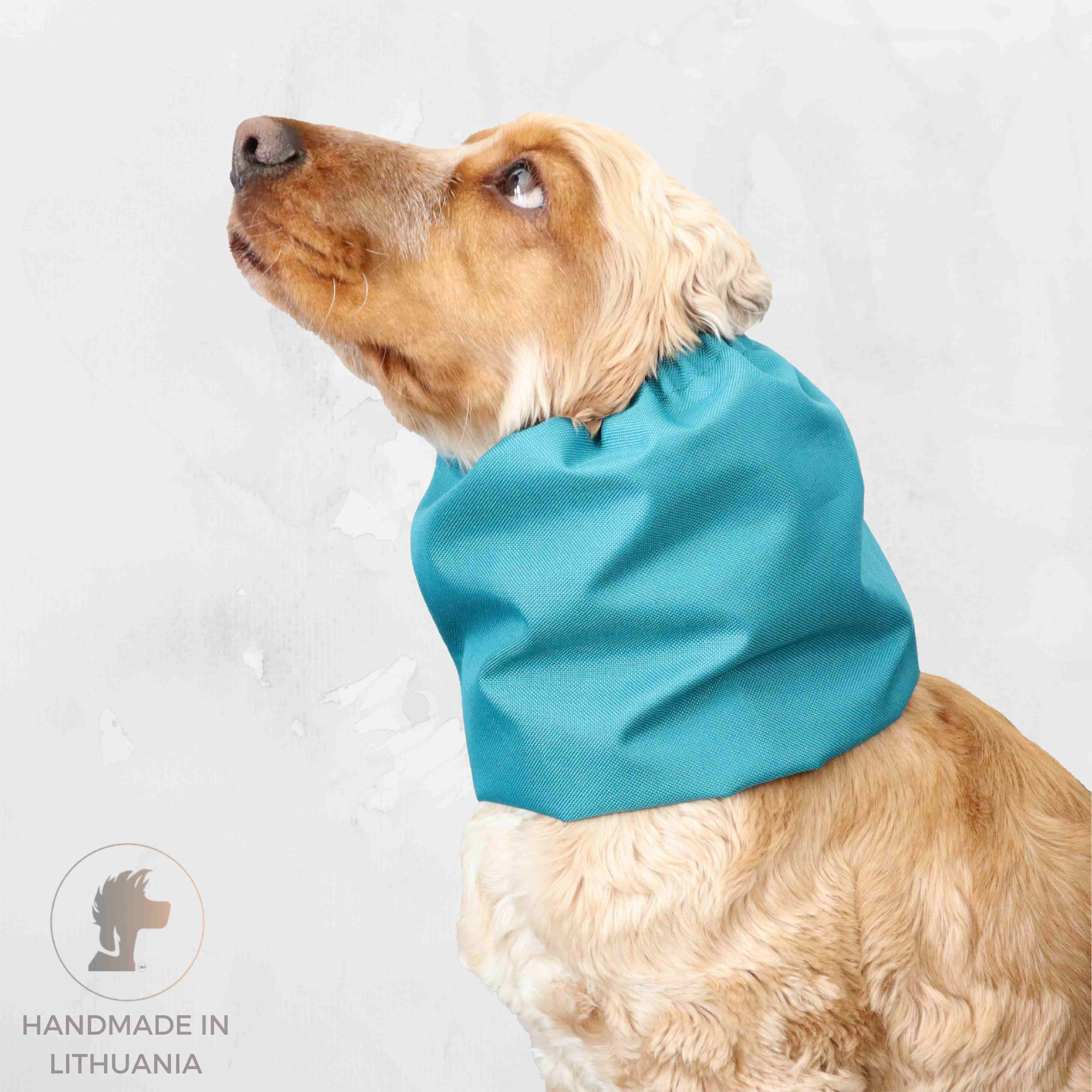 Snood for dog Laguna by Distinguish Me 