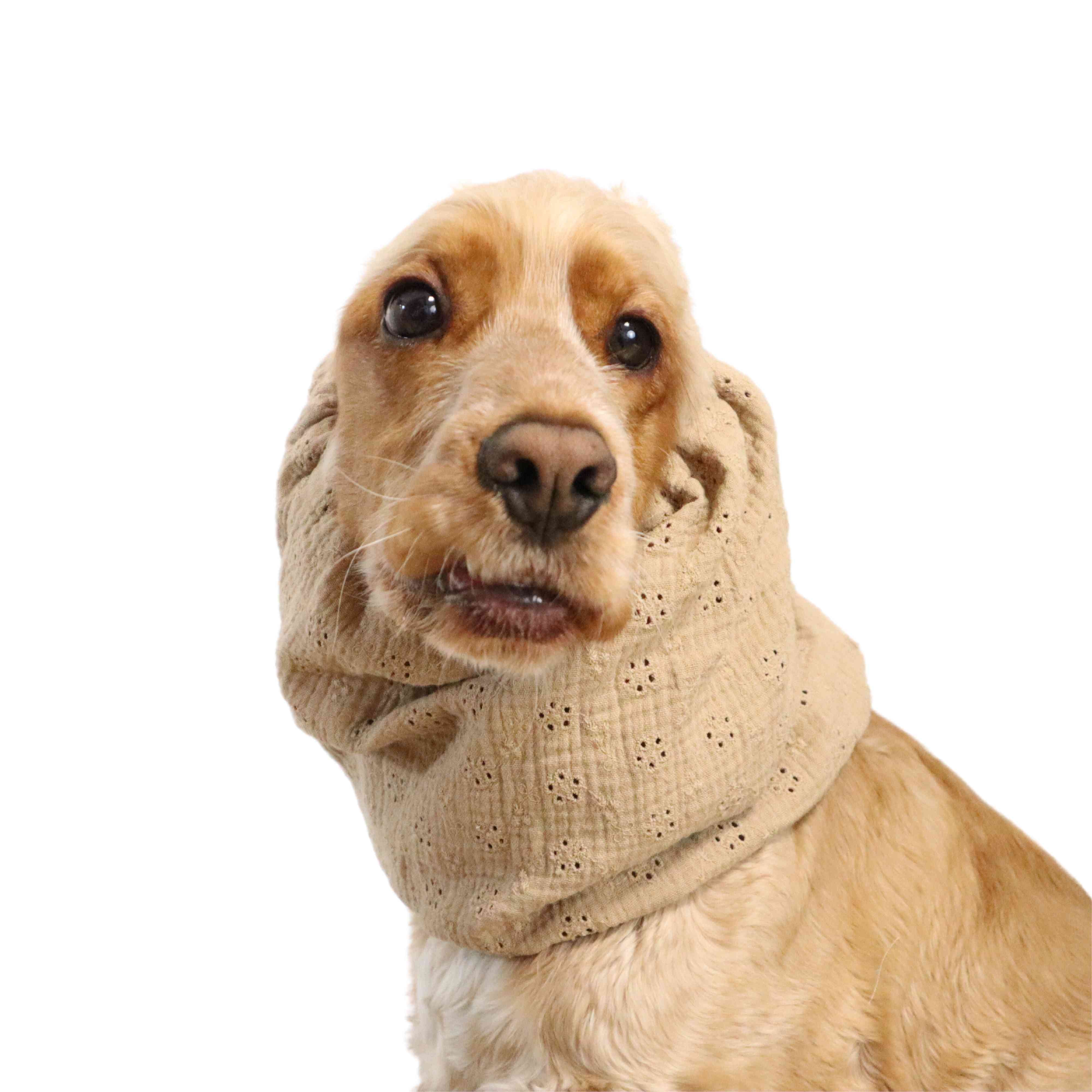 cream beige breathable dog snood with holes