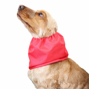 waterproof red dog snood distinguish me