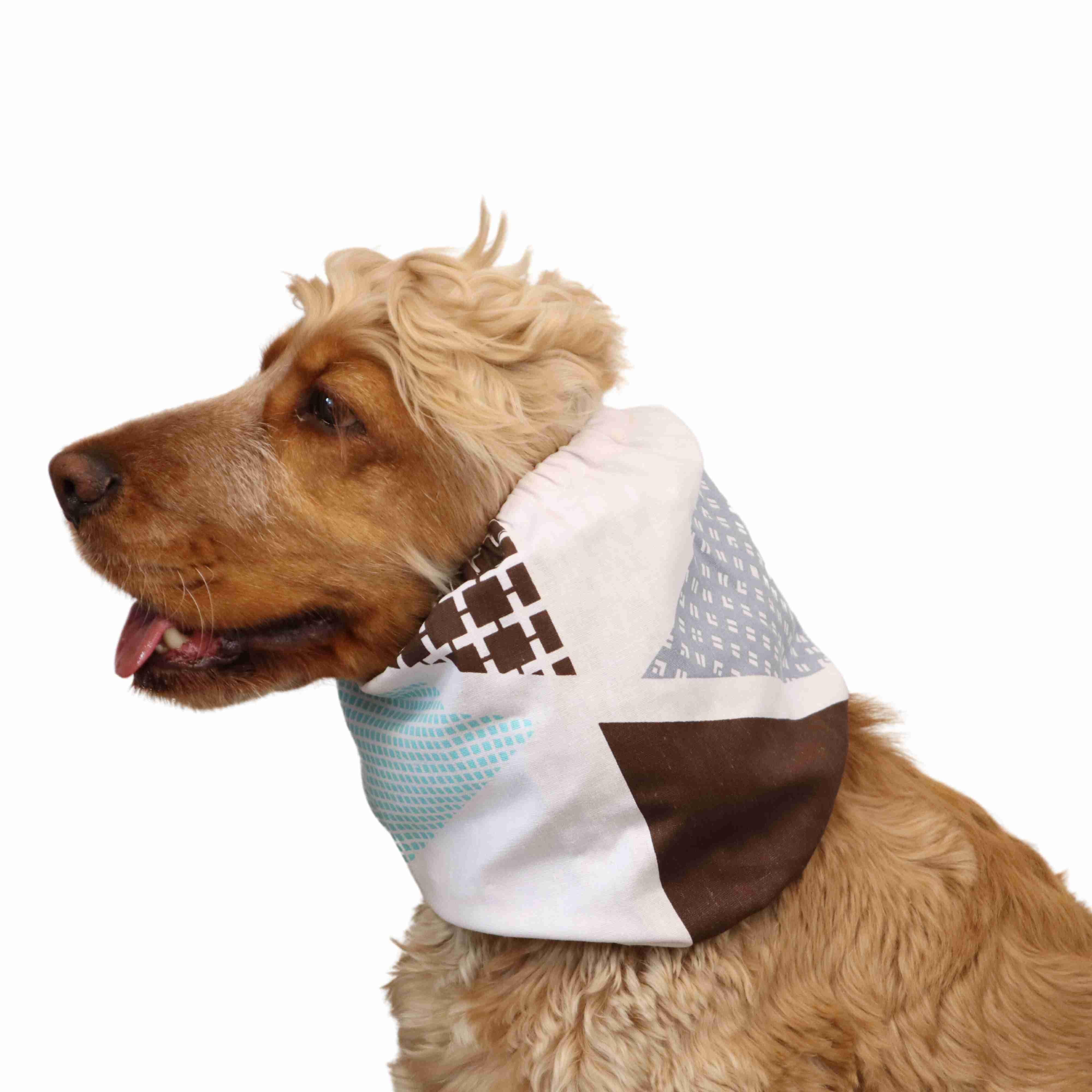 natural white dog snood for summer