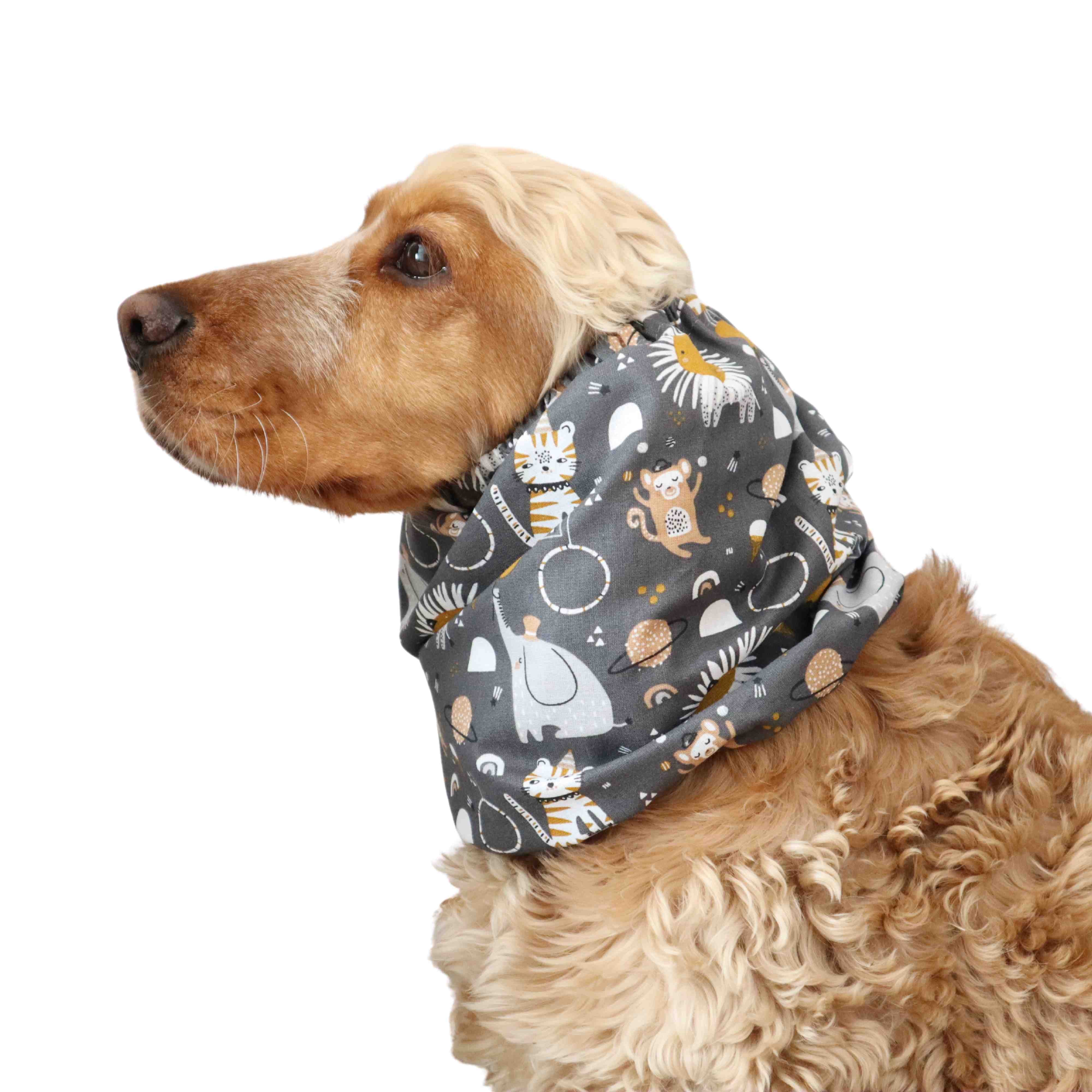 Summer snood for dogs with circus pattern Distinguish Me