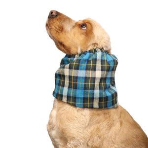 Dog With Winter Flannel Dog Snood Blue Tartan Distinguish Me