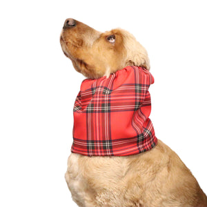 Dog wearing Feeding Dog Snood  Lightweight Red Tartan Distinguish Me