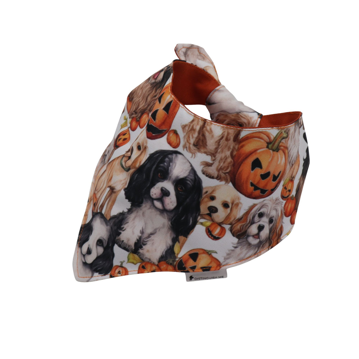bandana for dog