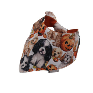 bandana for dog