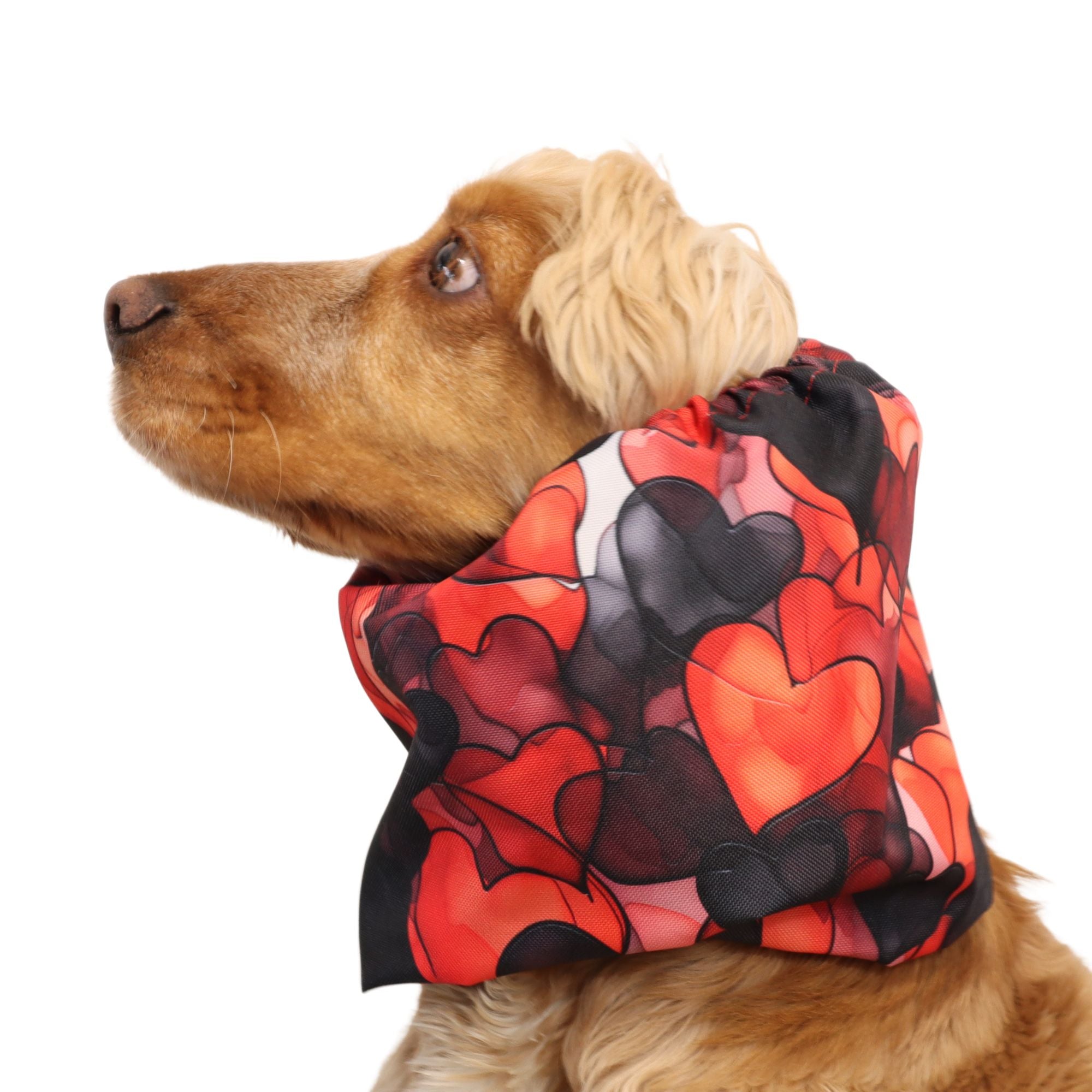 Waterproof Dog Snood | My Valentine